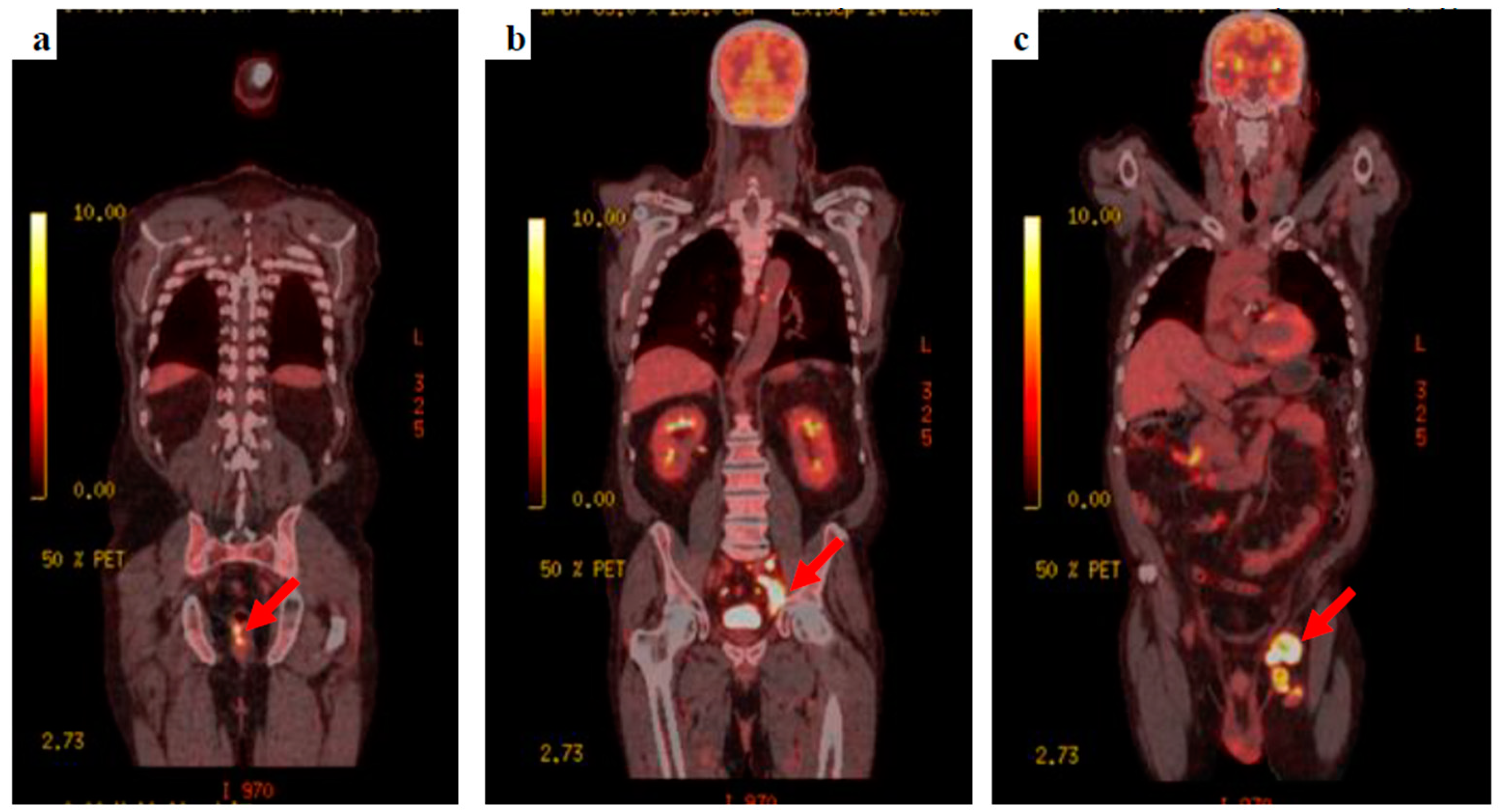 Diseases 10 00021 g003