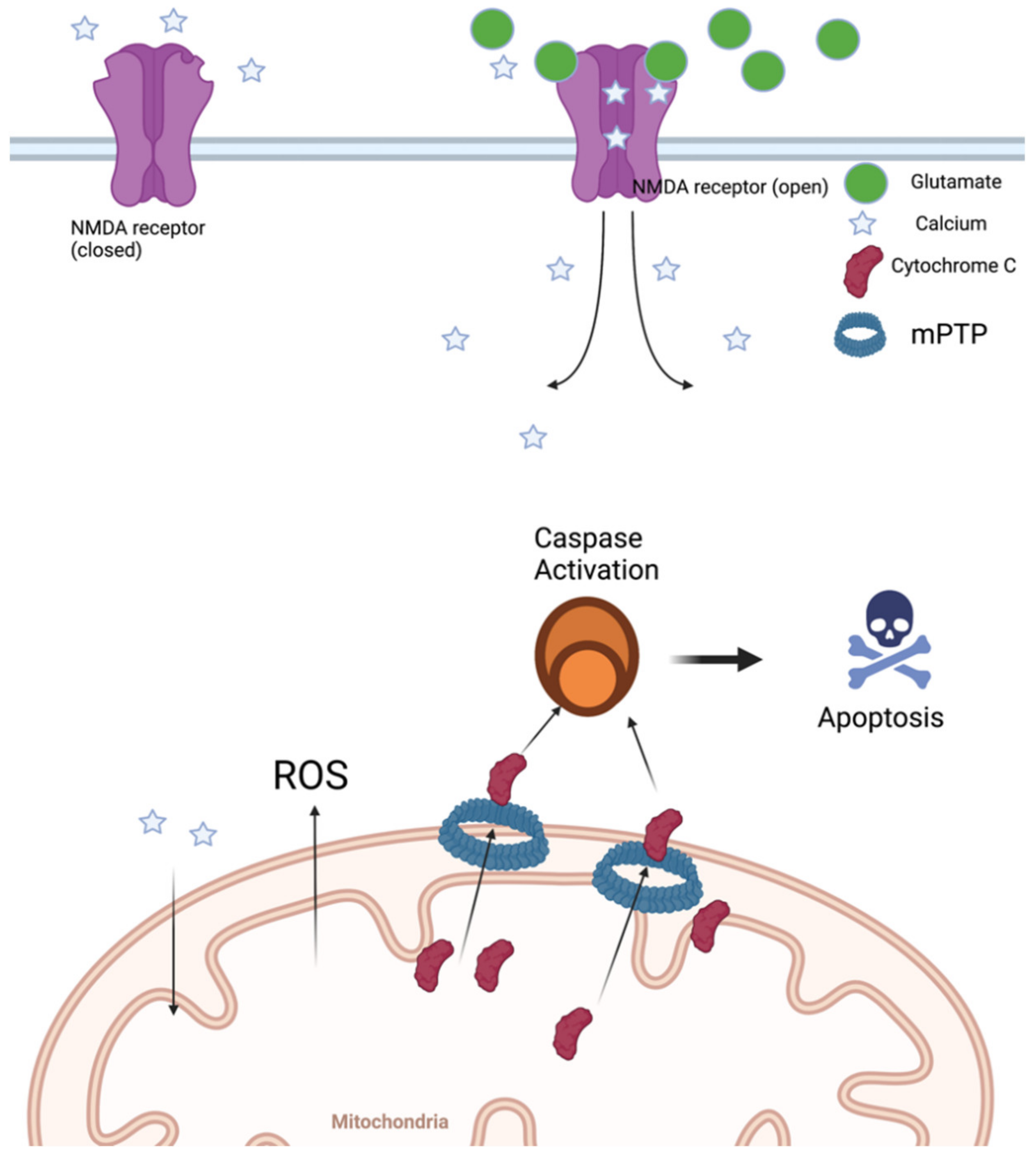 Diseases 10 00030 g002