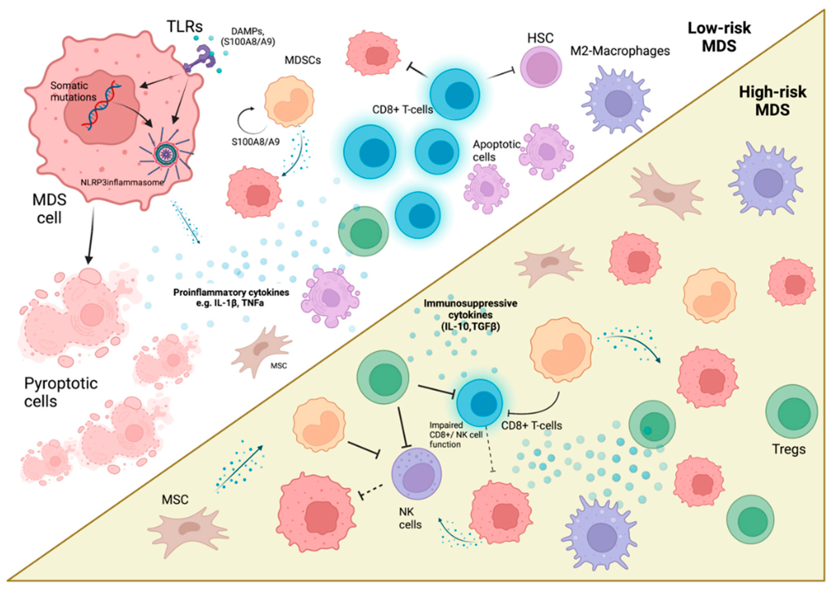 Diseases 10 00033 g001