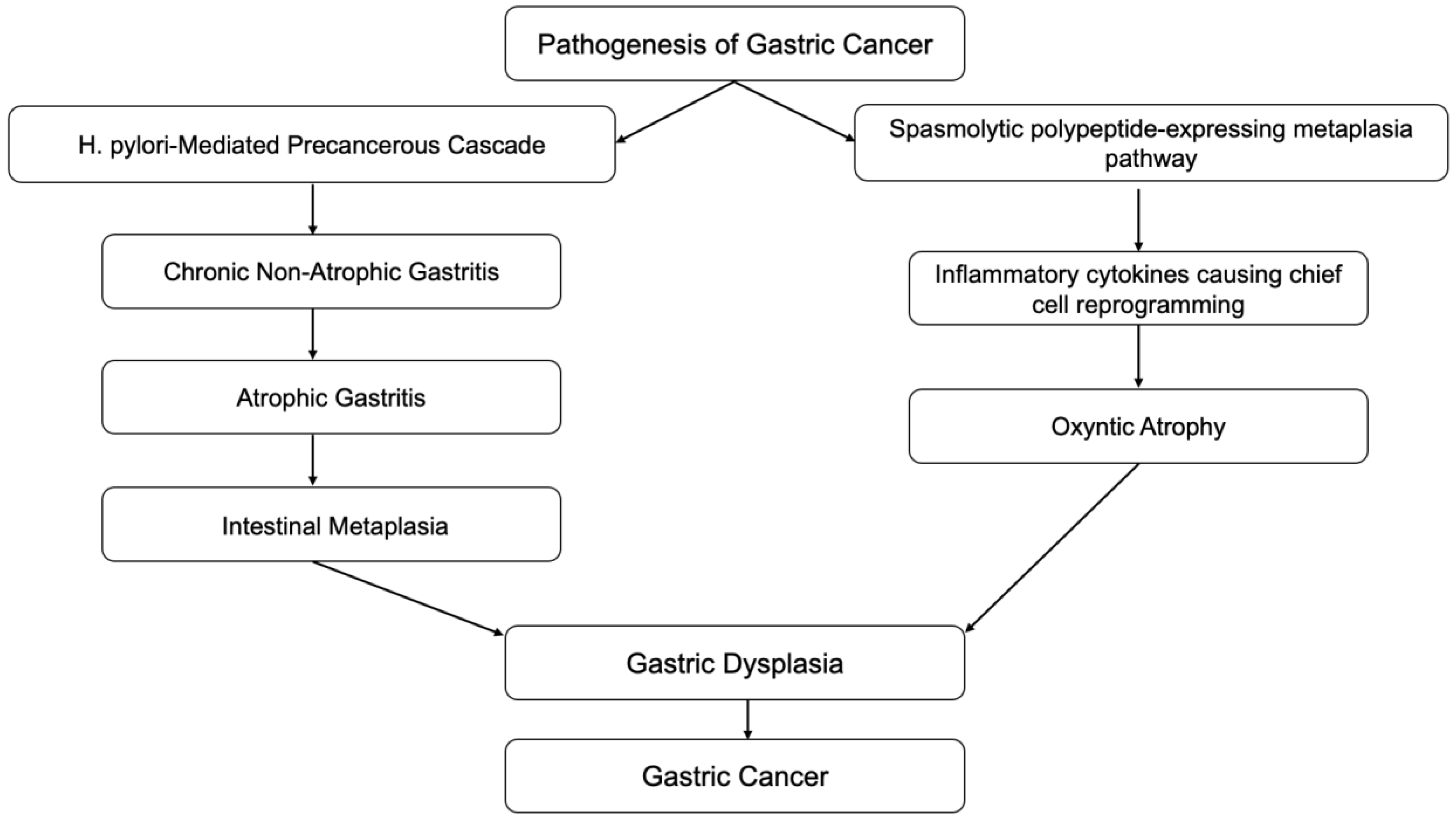 Diseases 10 00035 g001 Diseases 10 00035 g001