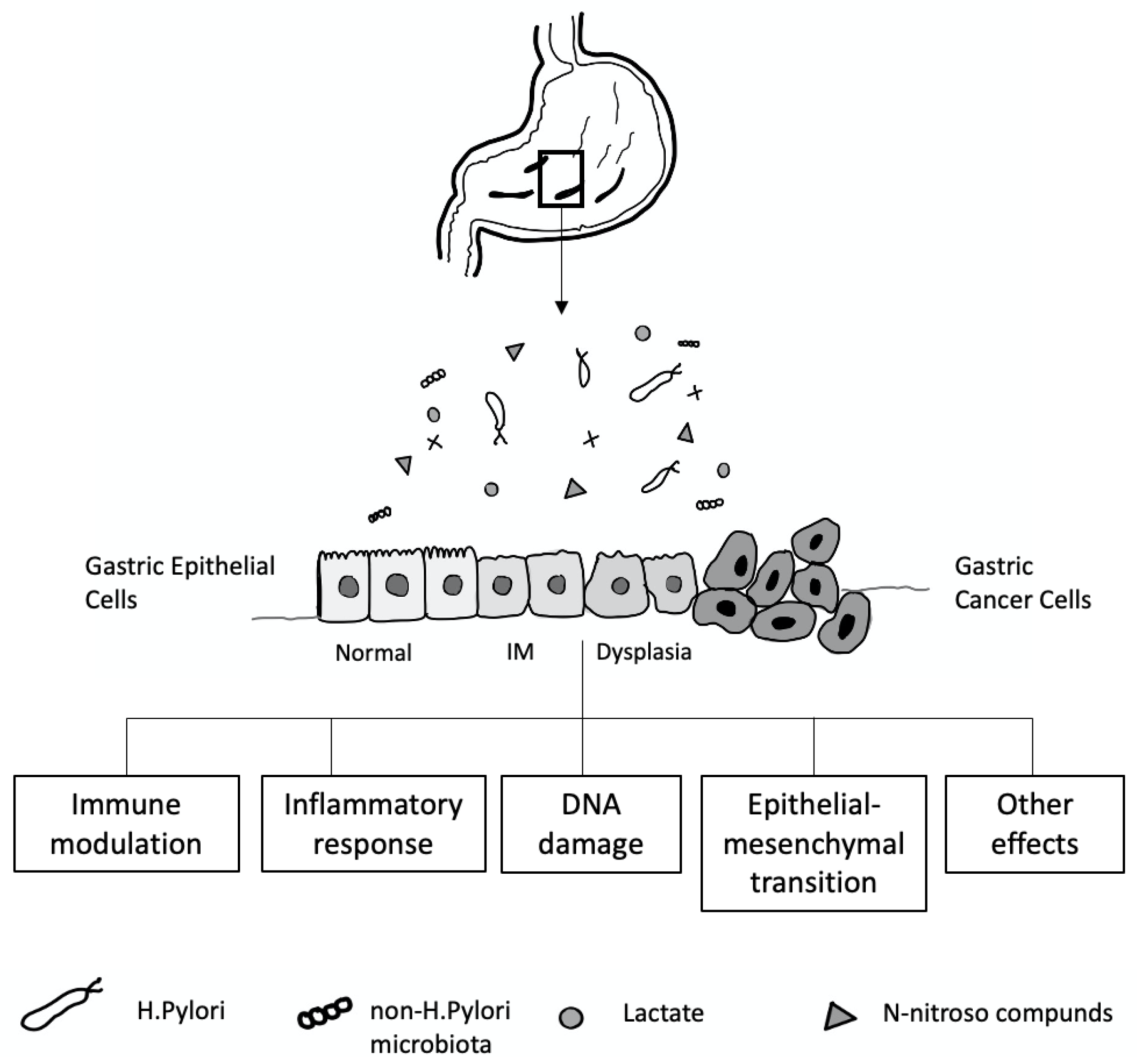 Diseases 10 00035 g004 Diseases 10 00035 g004