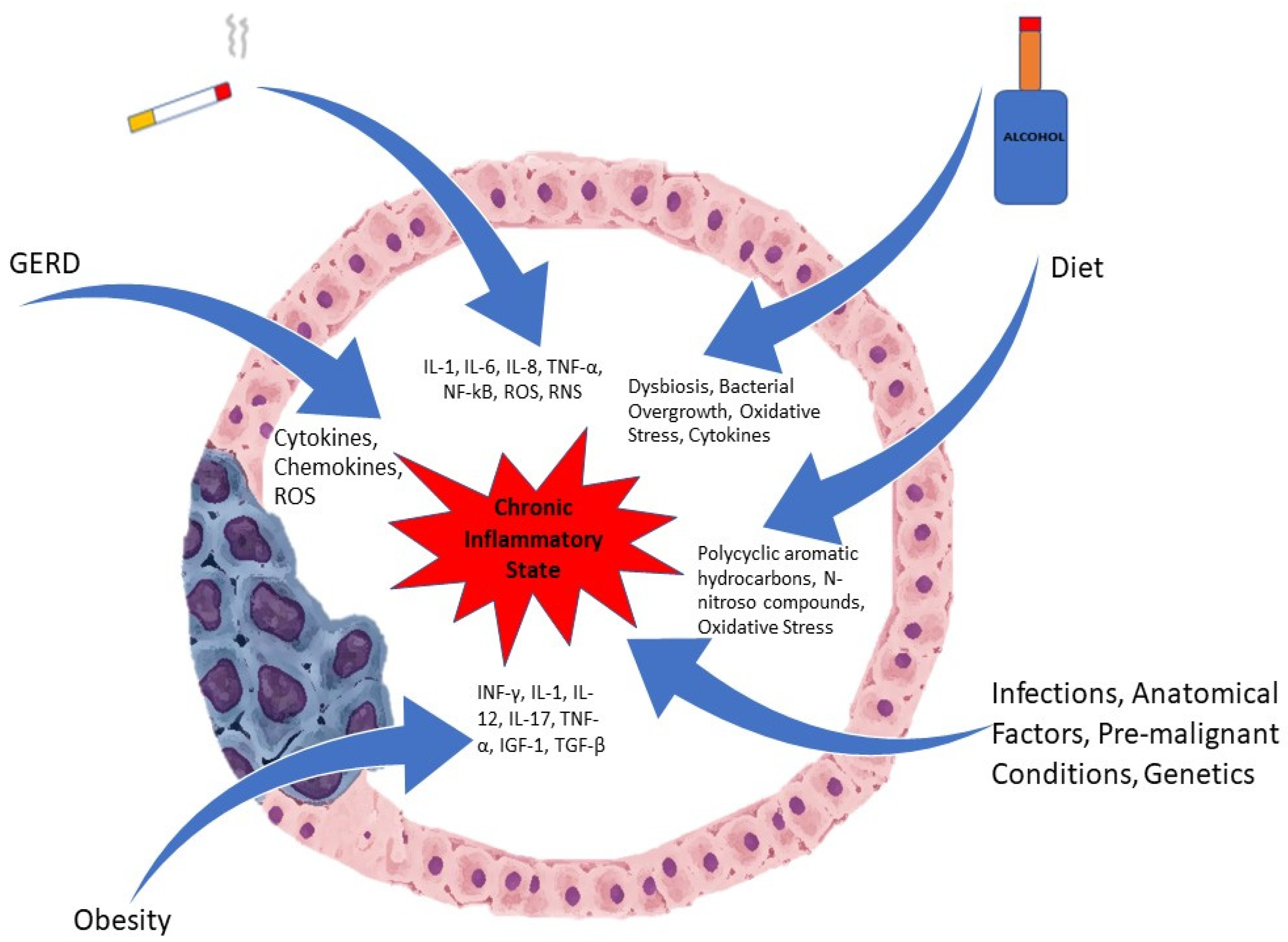 Diseases 10 00044 g001