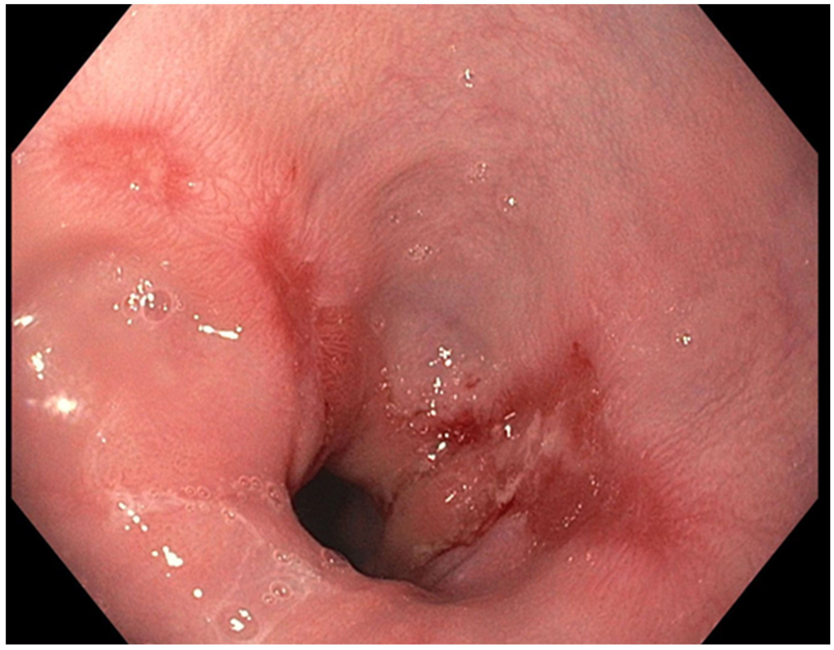 Diseases 10 00044 g002