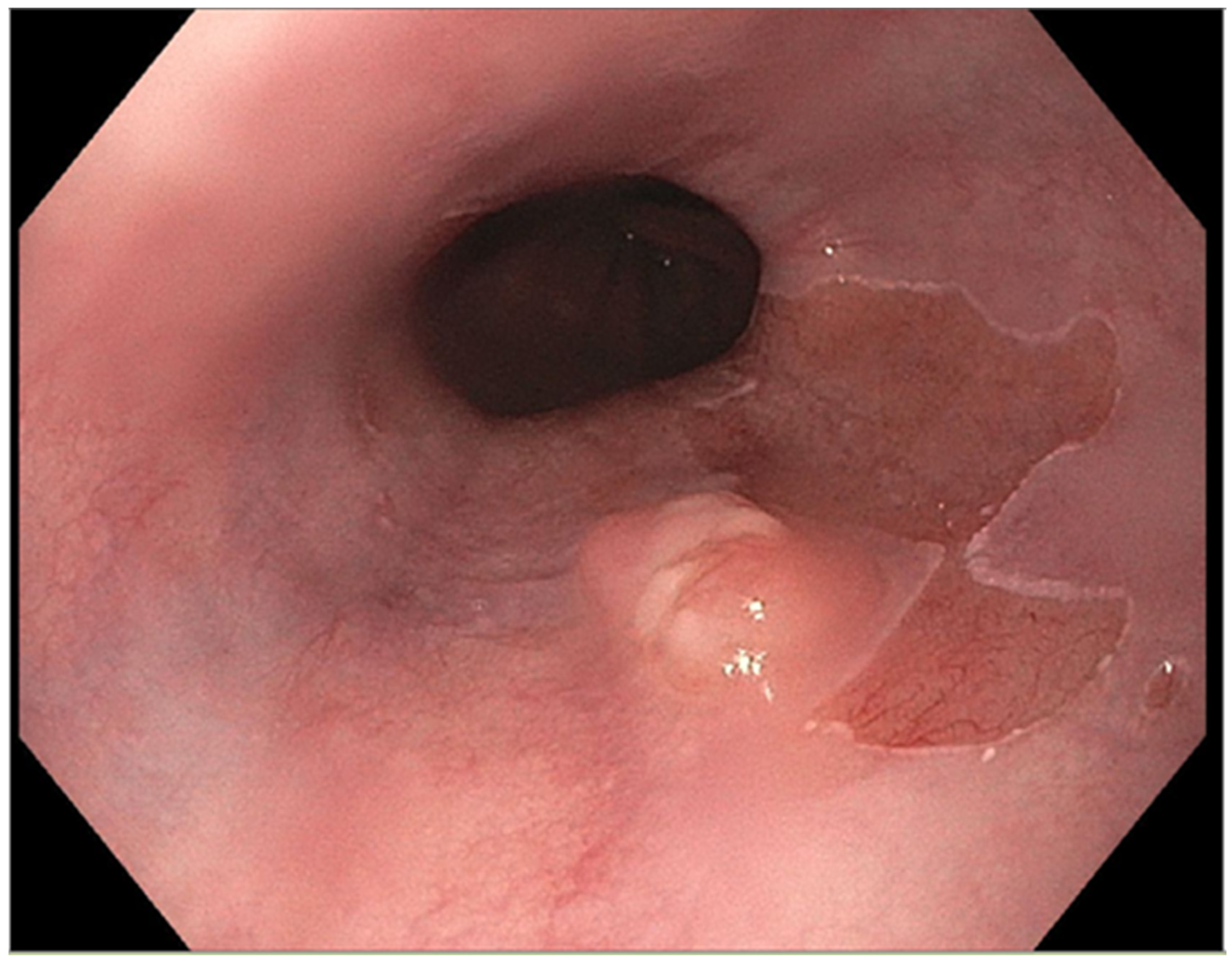 Diseases 10 00044 g003