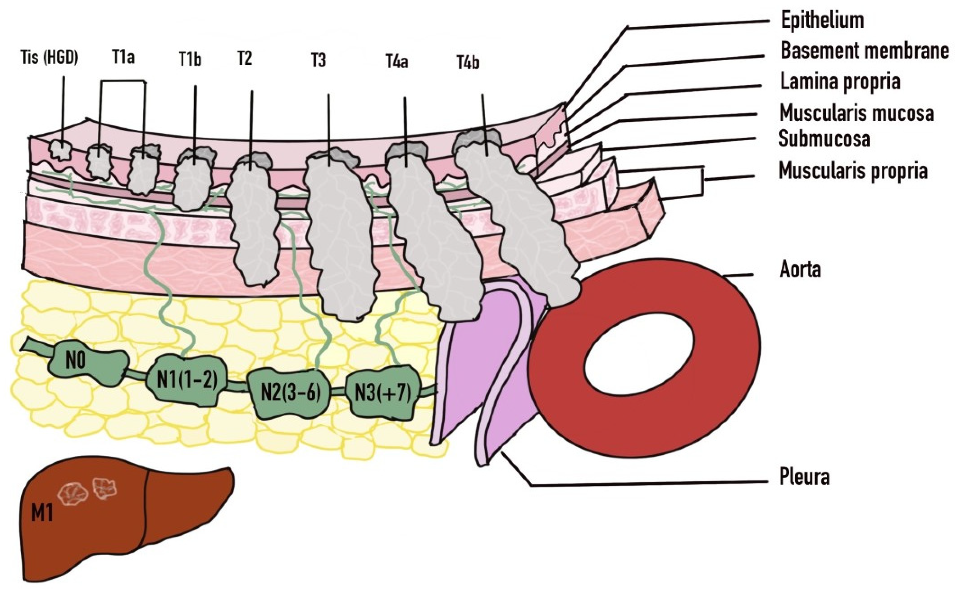 Diseases 10 00044 g004