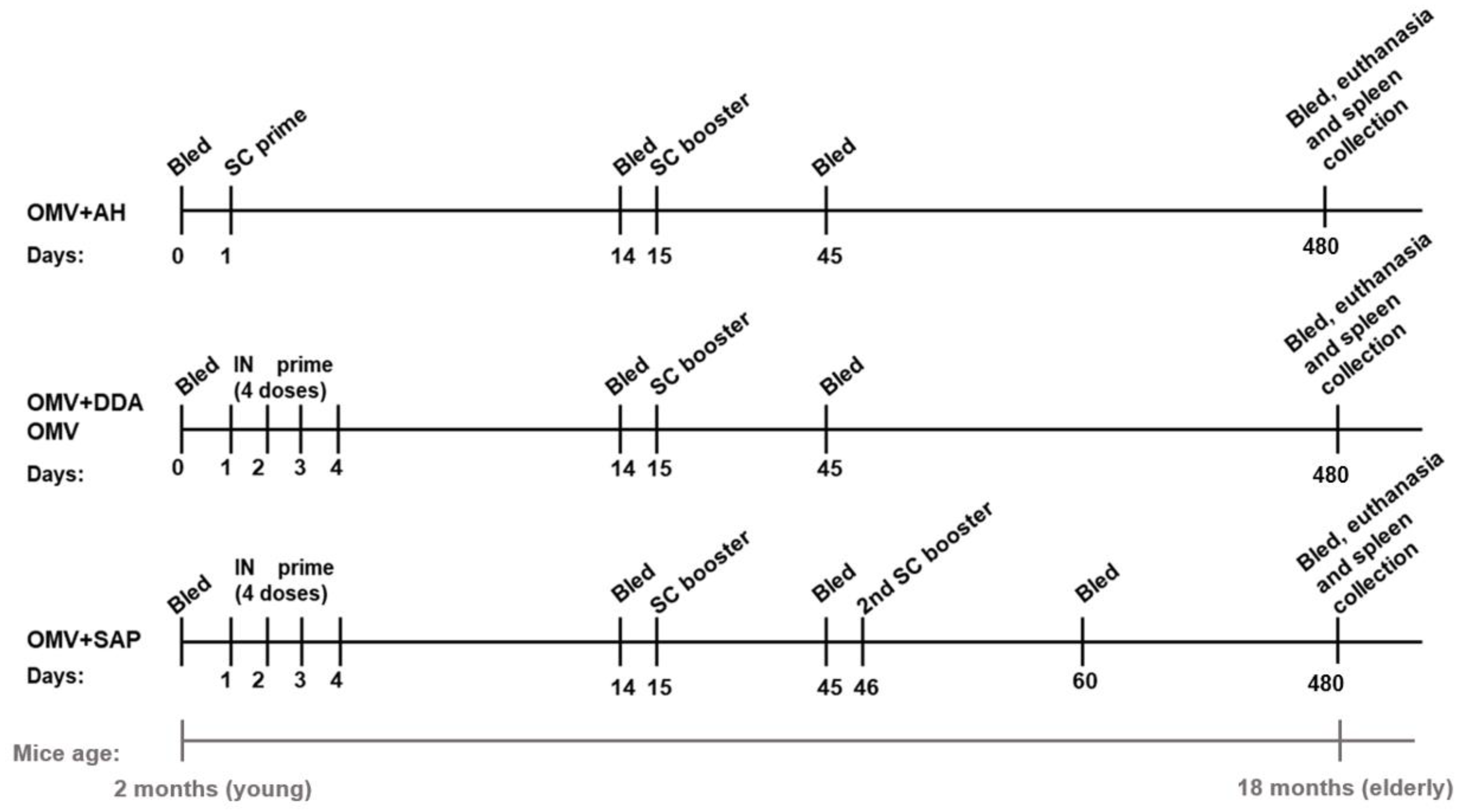 Diseases 10 00046 g001
