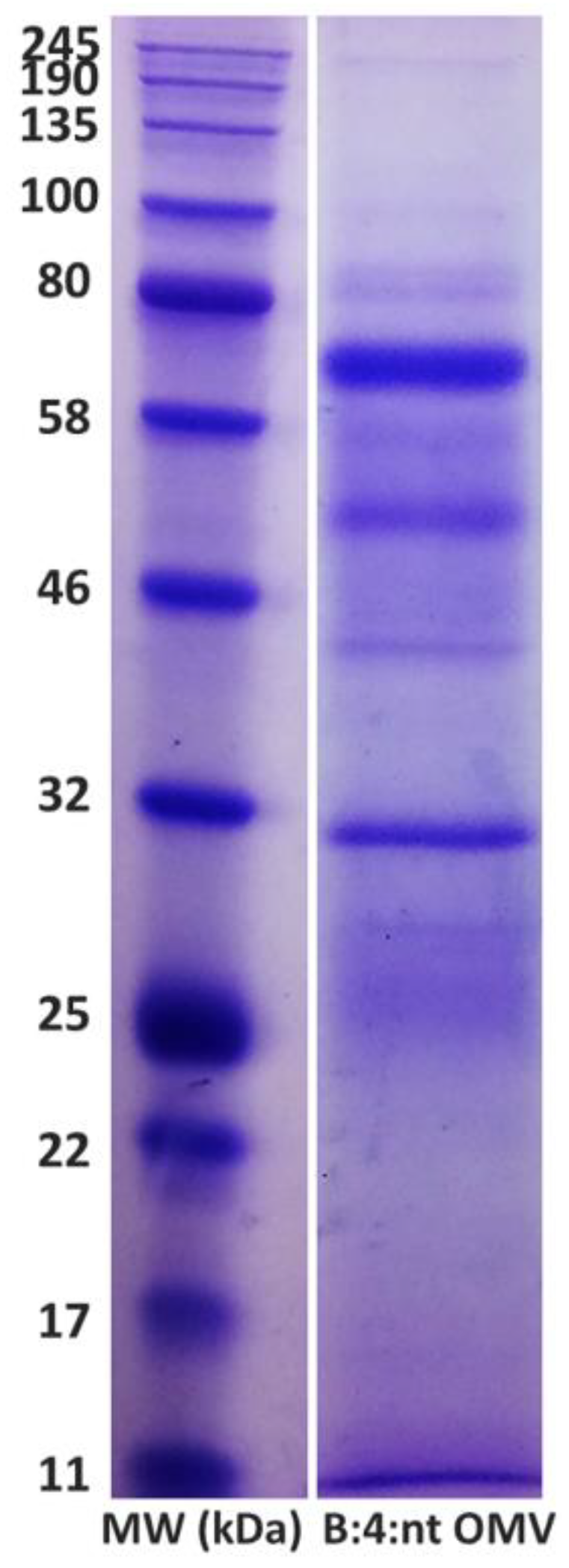 Diseases 10 00046 g002