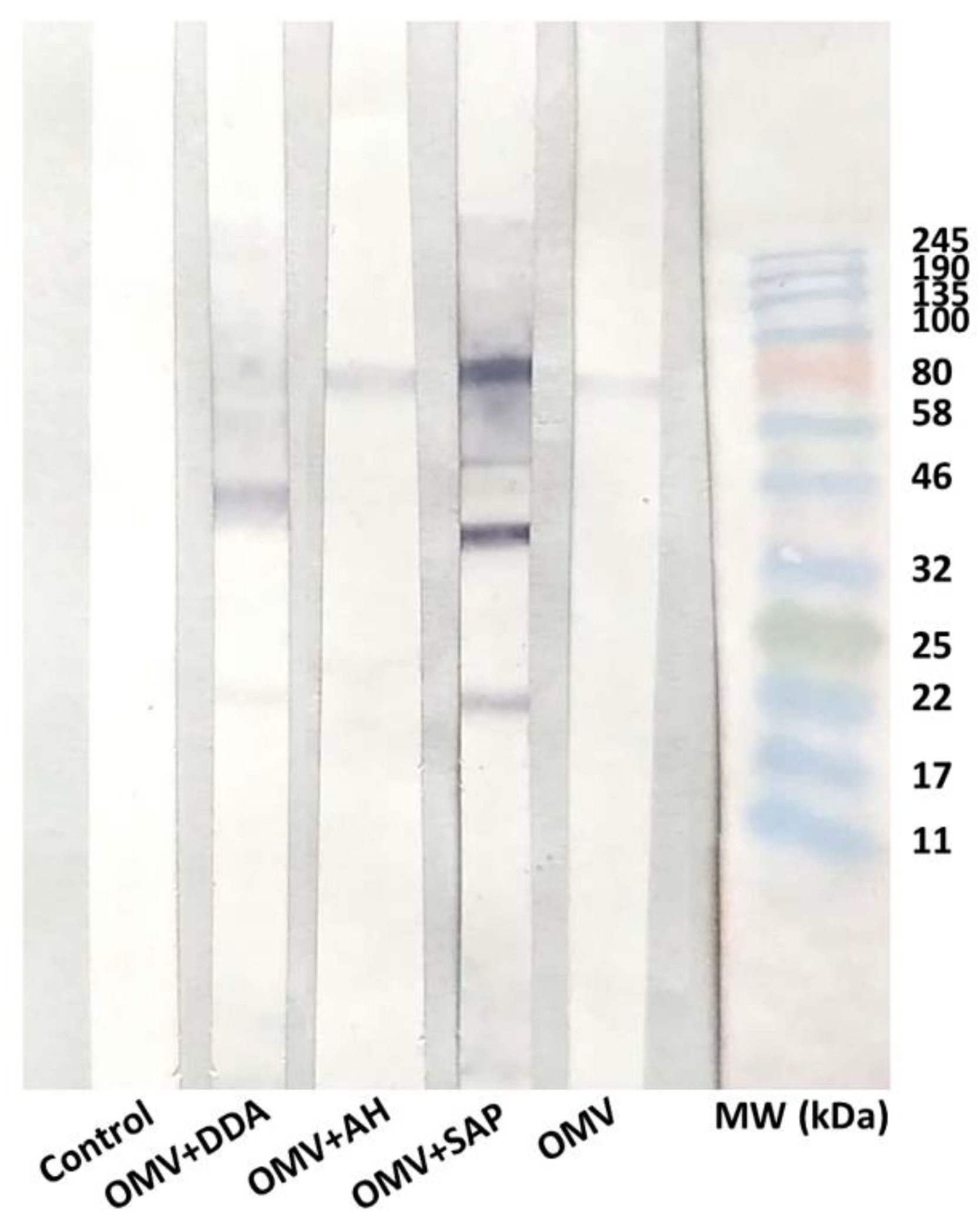 Diseases 10 00046 g006