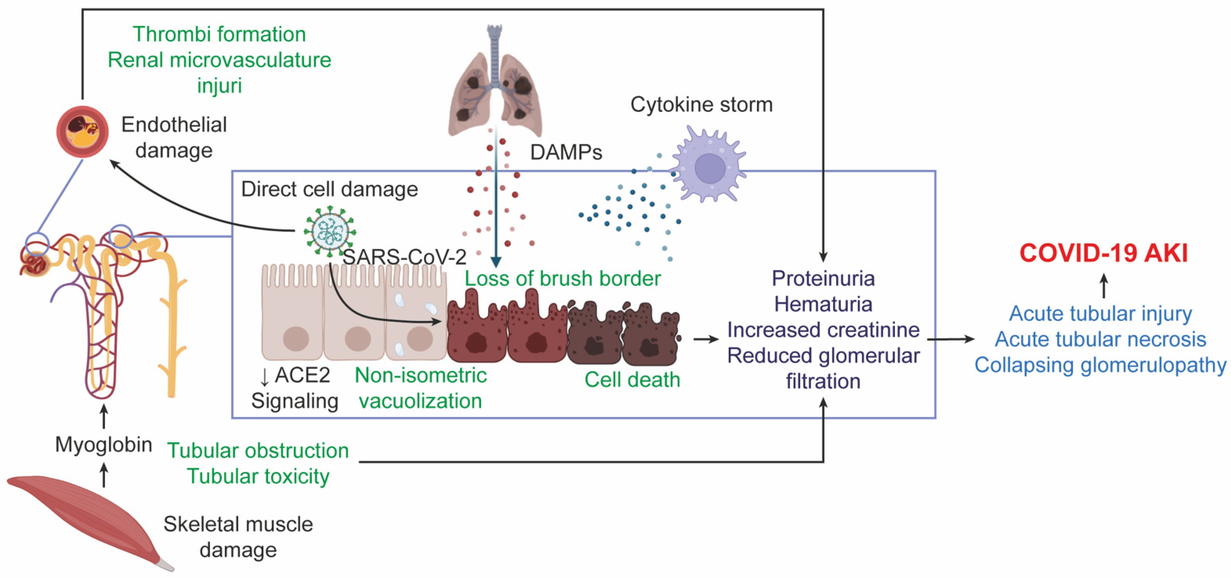 Diseases 10 00053 g002