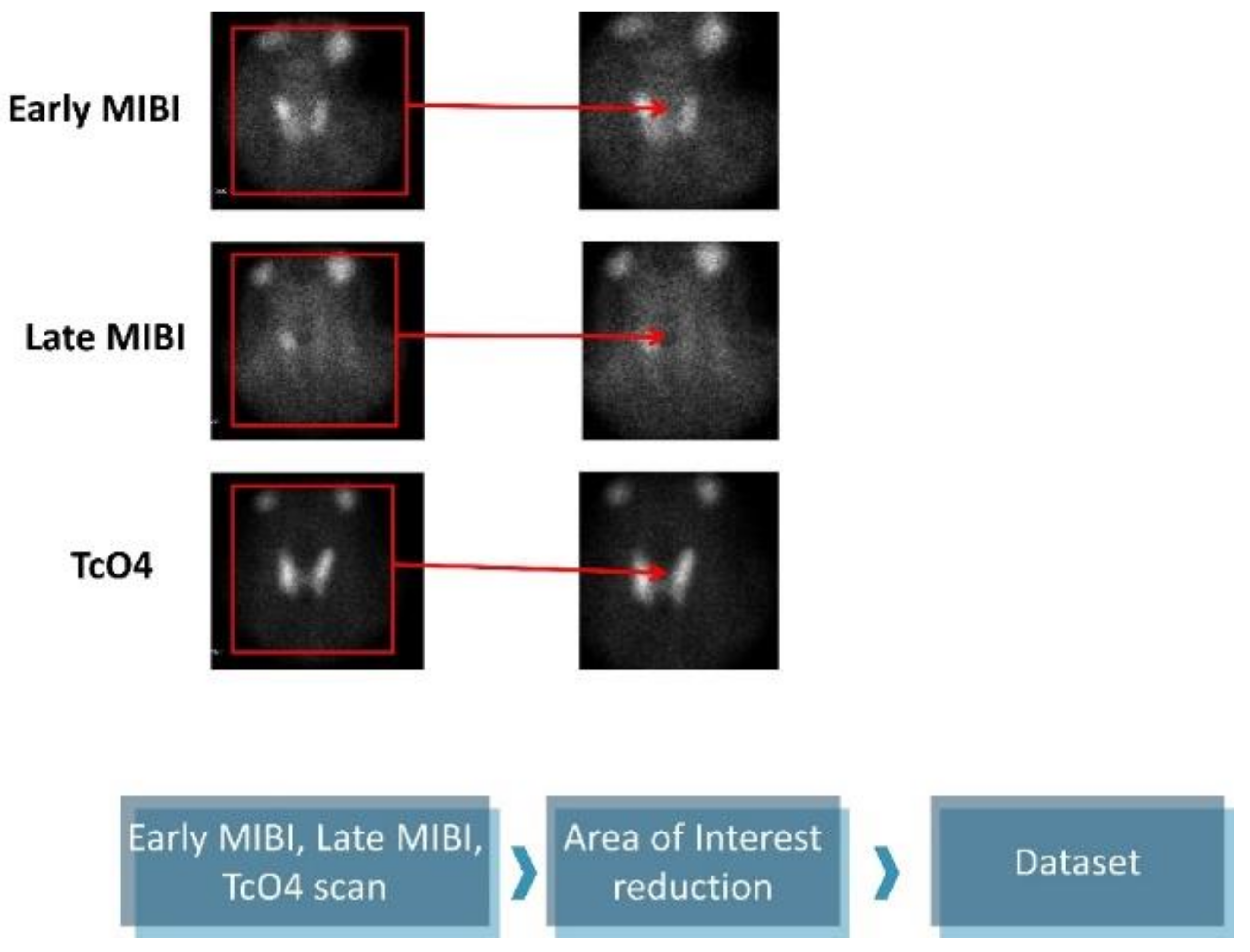 Diseases 10 00056 g001