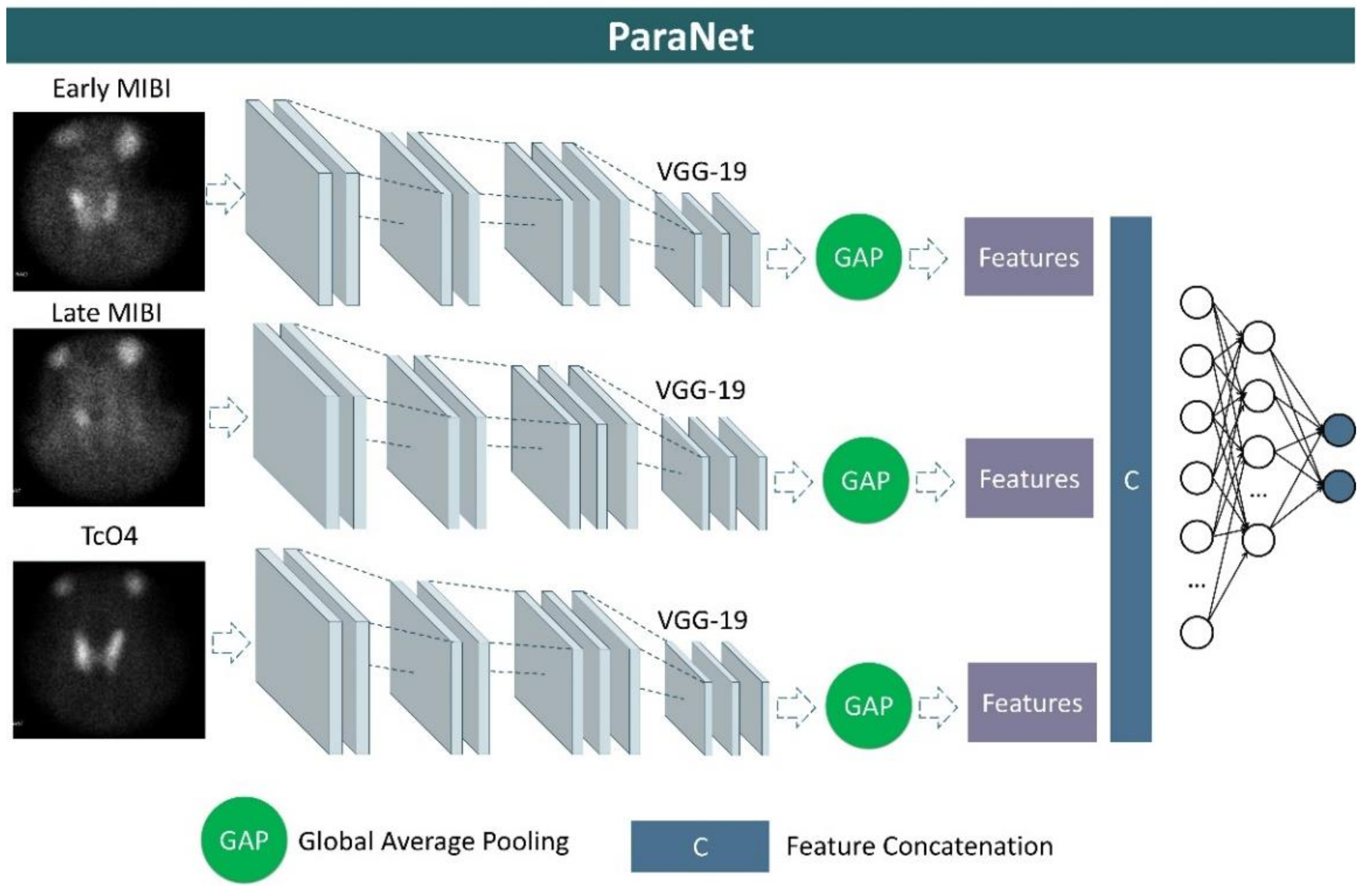 Diseases 10 00056 g002