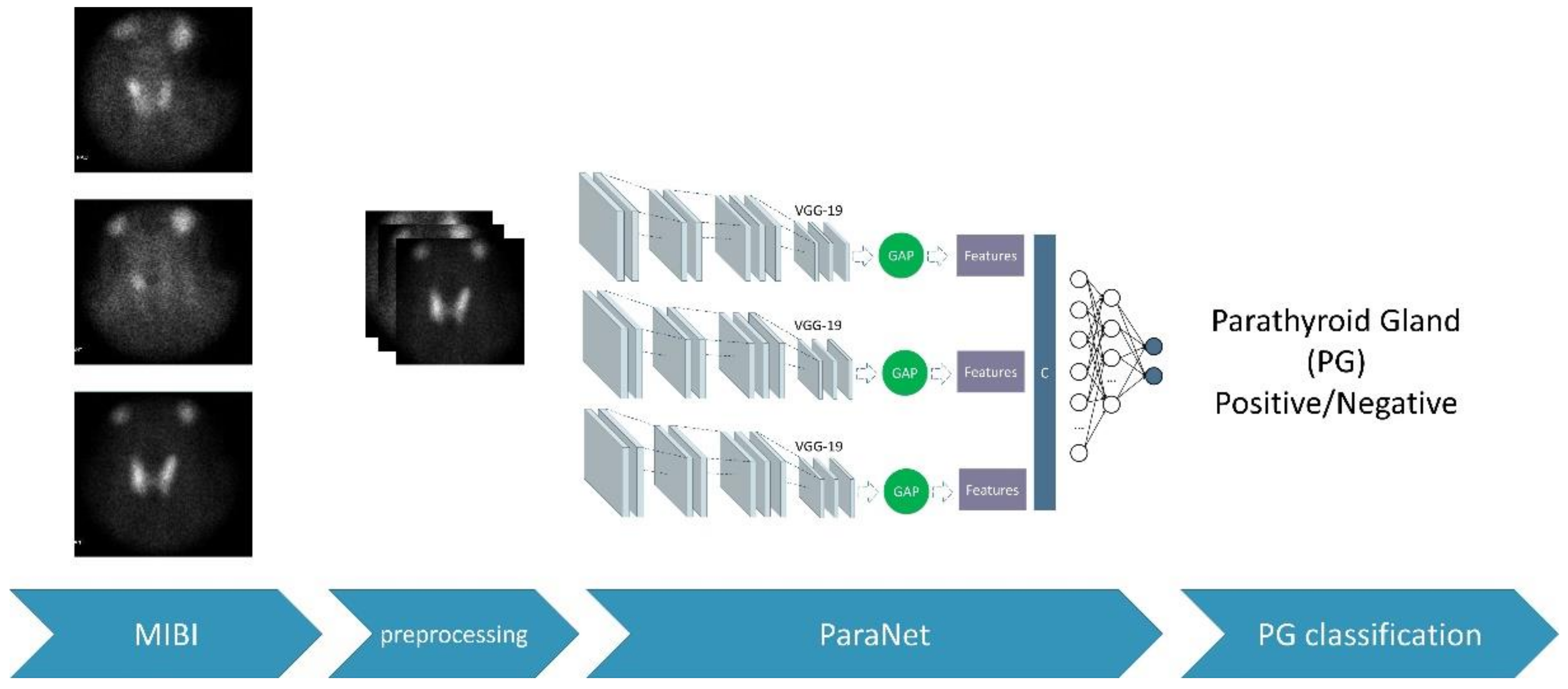 Diseases 10 00056 g003