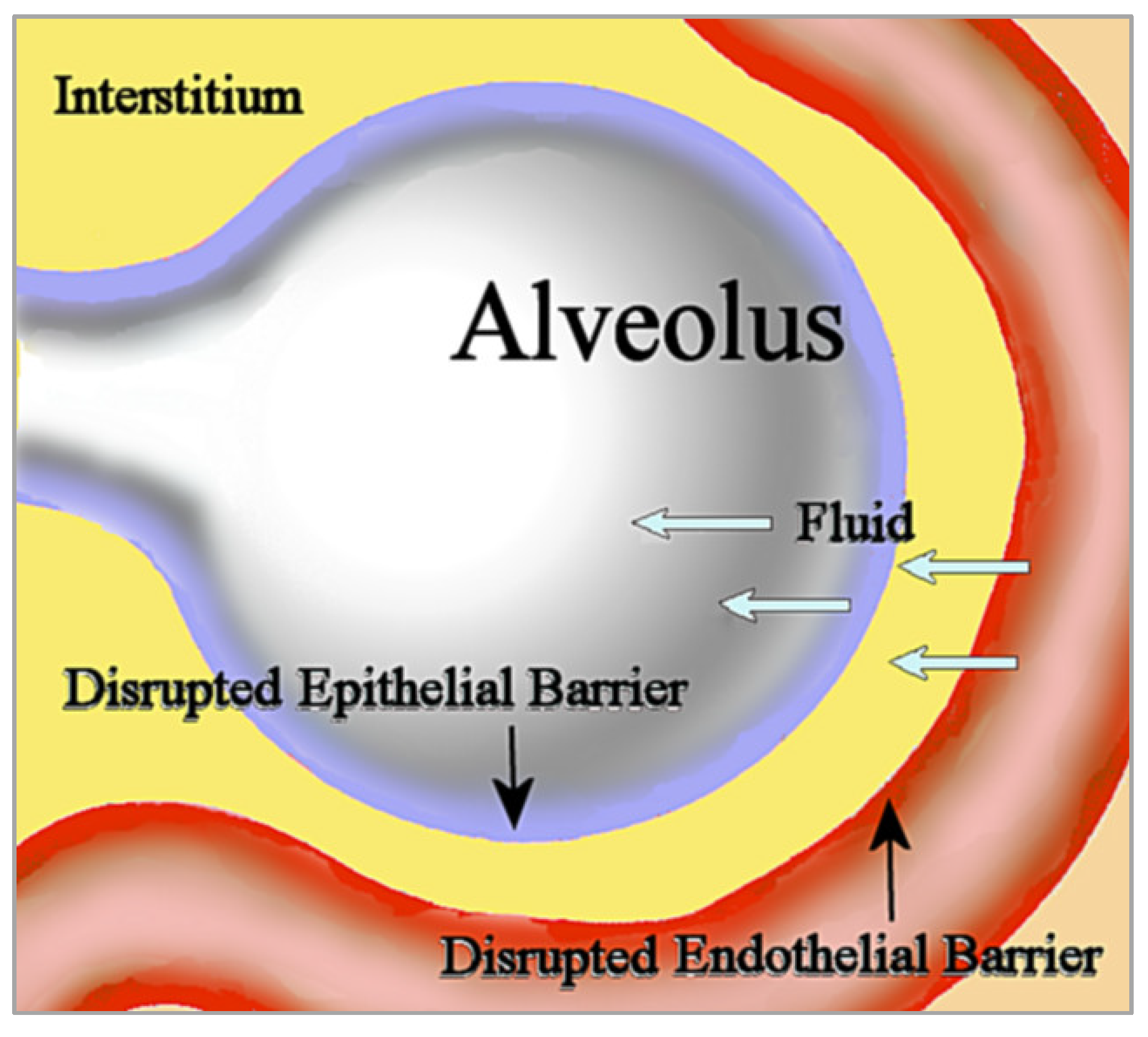 Diseases 10 00059 g001