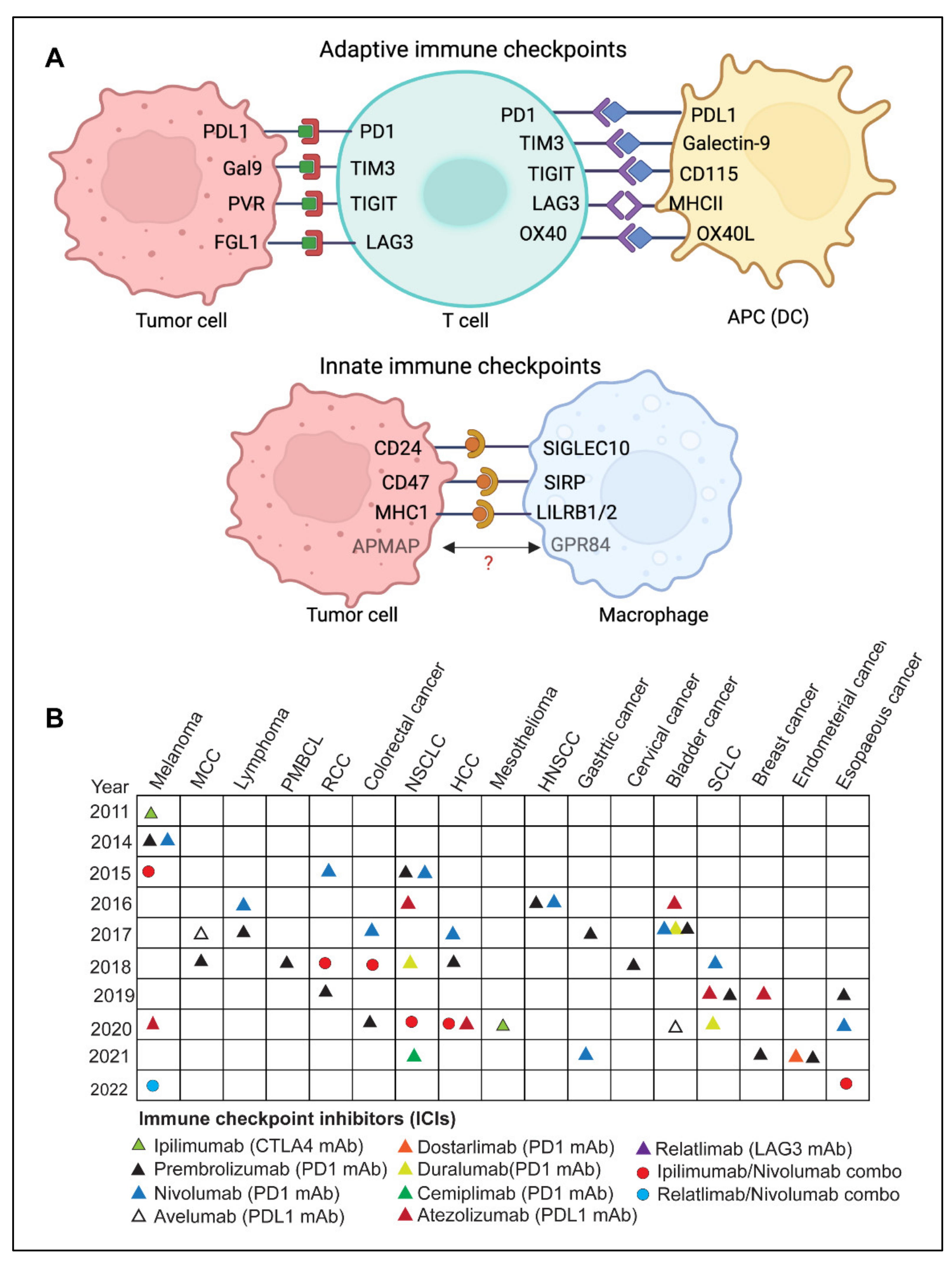 Diseases 10 00060 g002