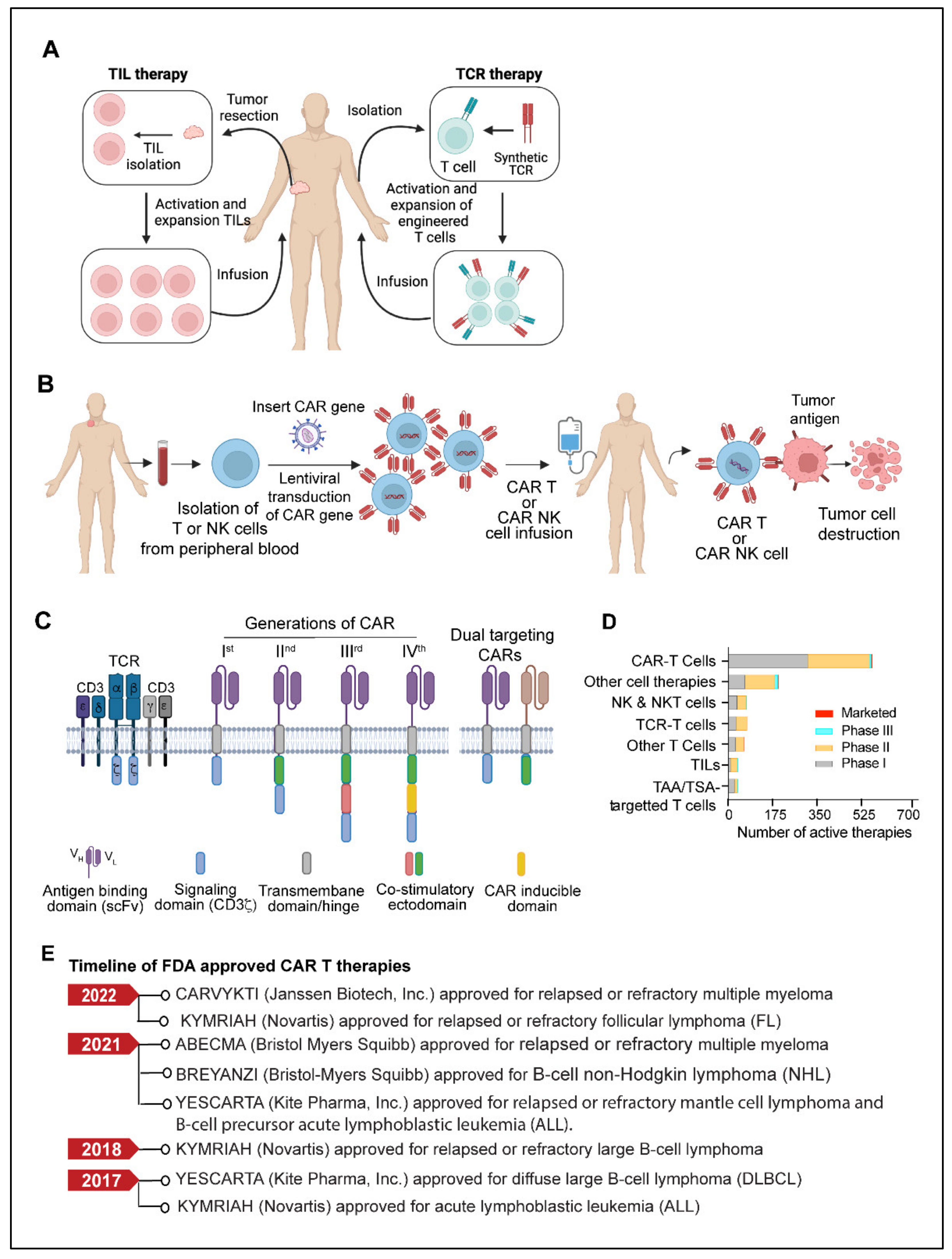 Diseases 10 00060 g003