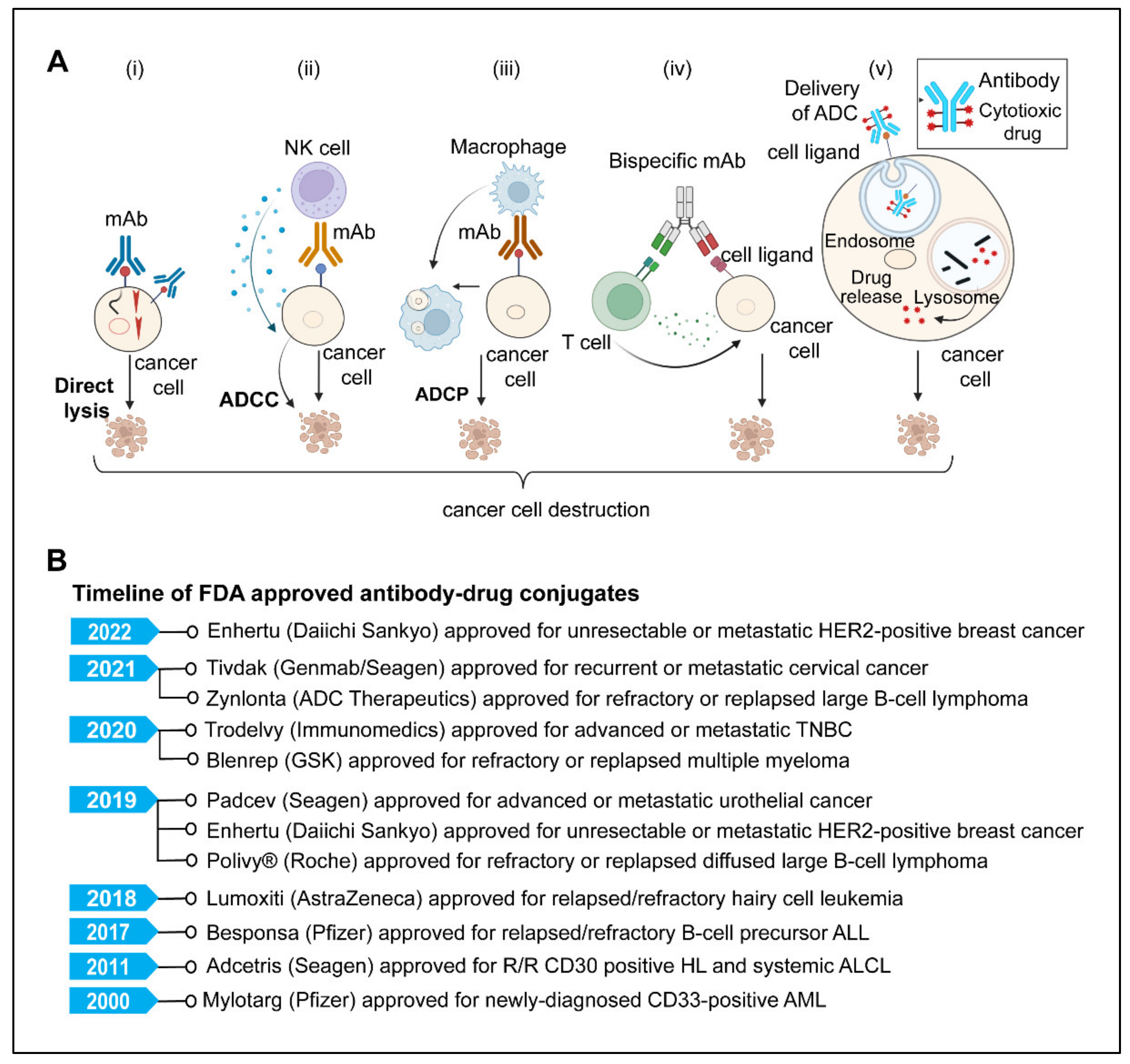 Diseases 10 00060 g004