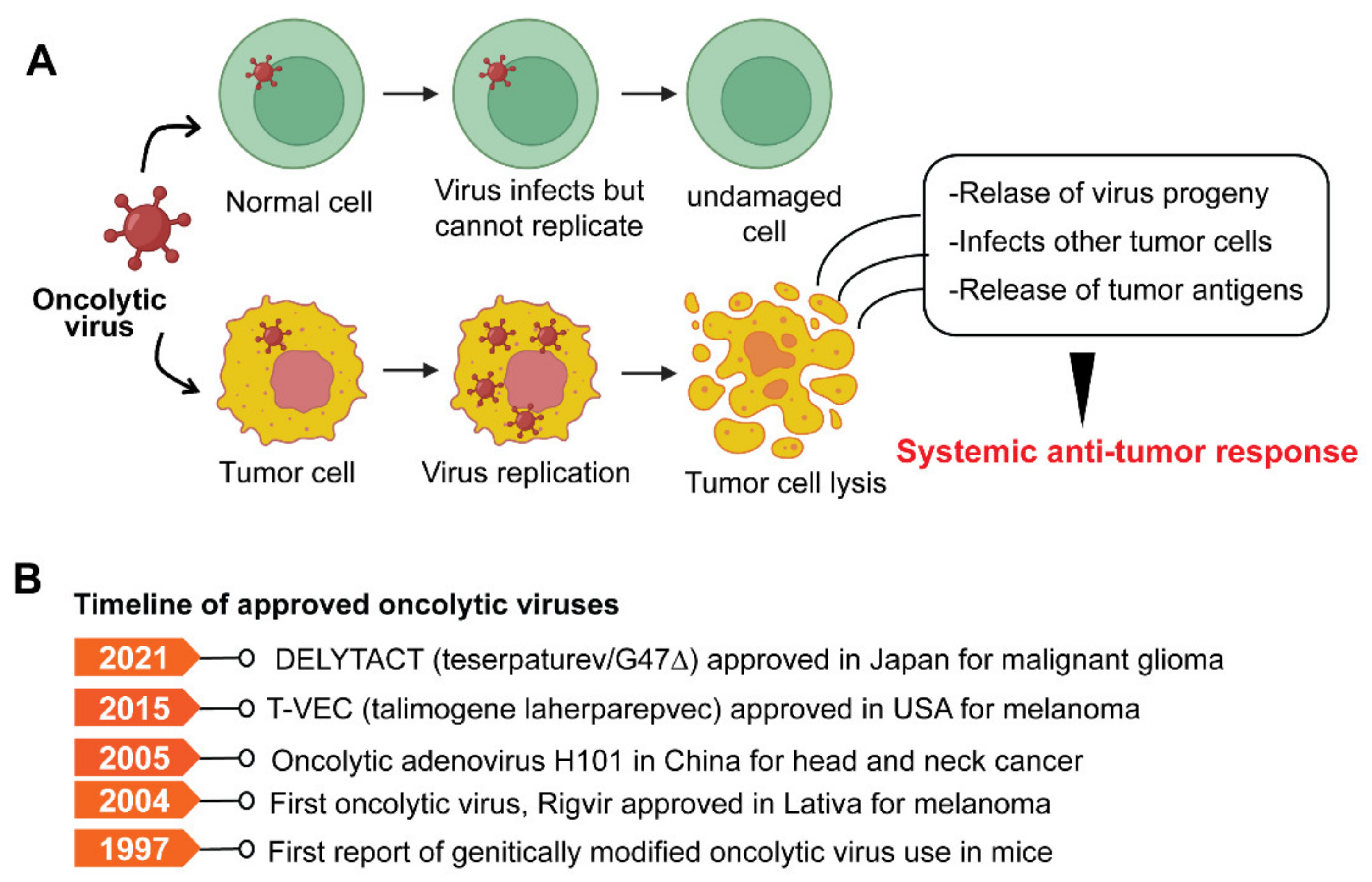 Diseases 10 00060 g005