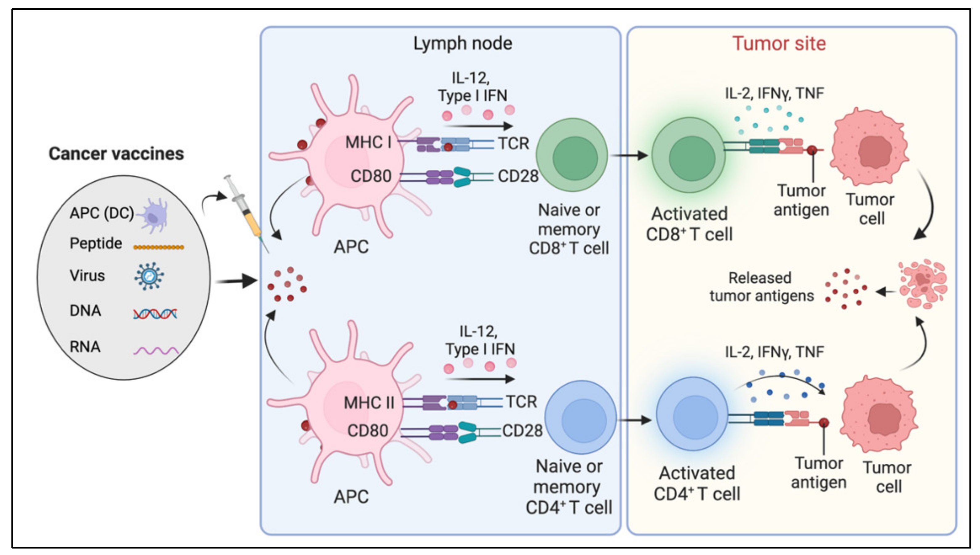 Diseases 10 00060 g006