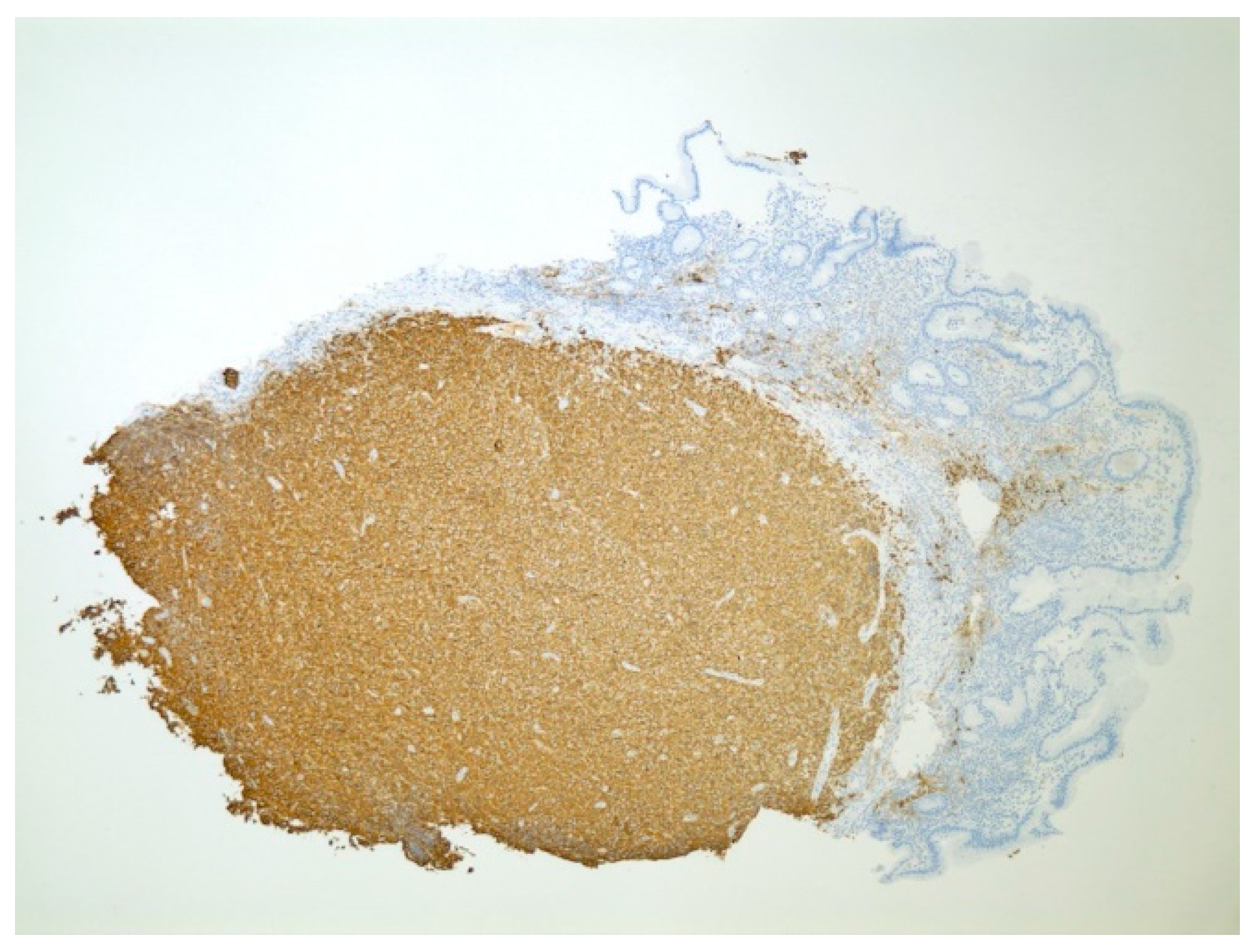 Diseases 10 00061 g013