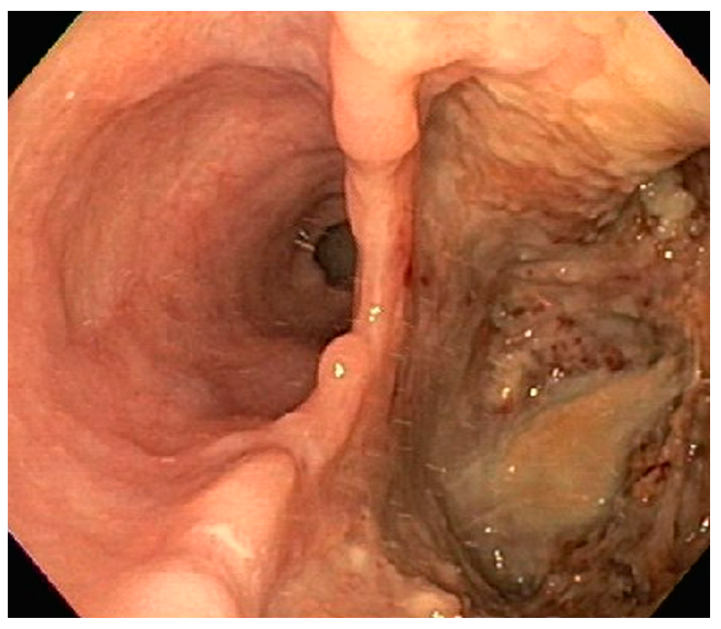 Diseases 10 00061 g014