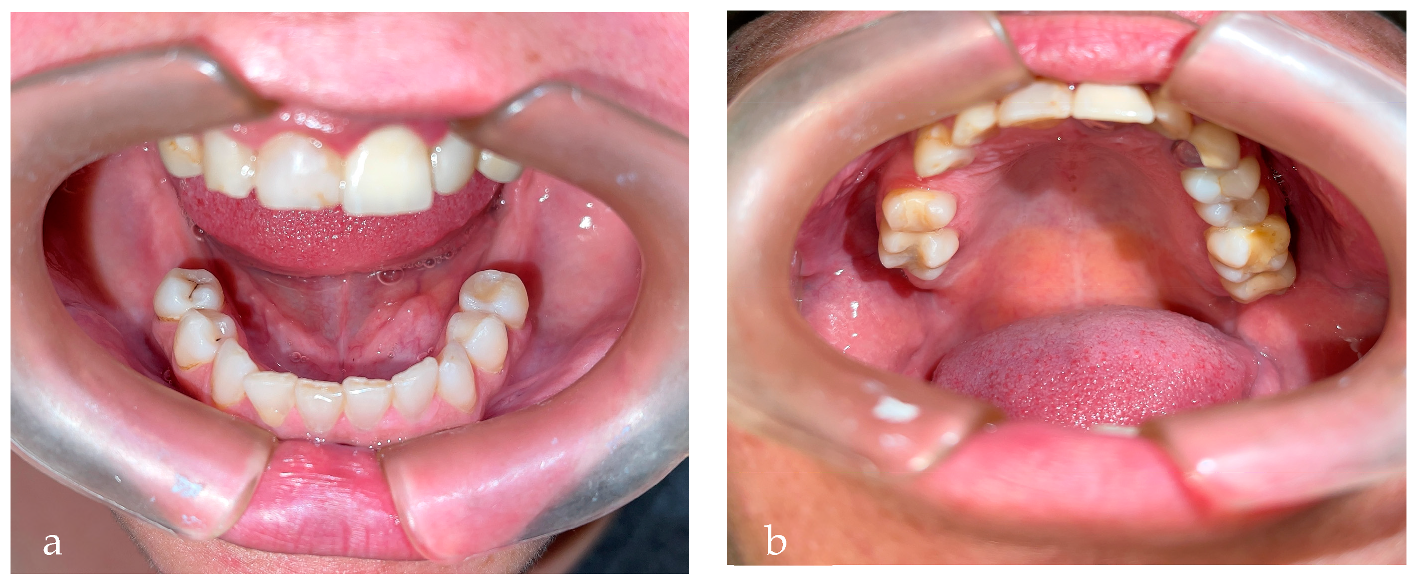 Diseases 10 00062 g004