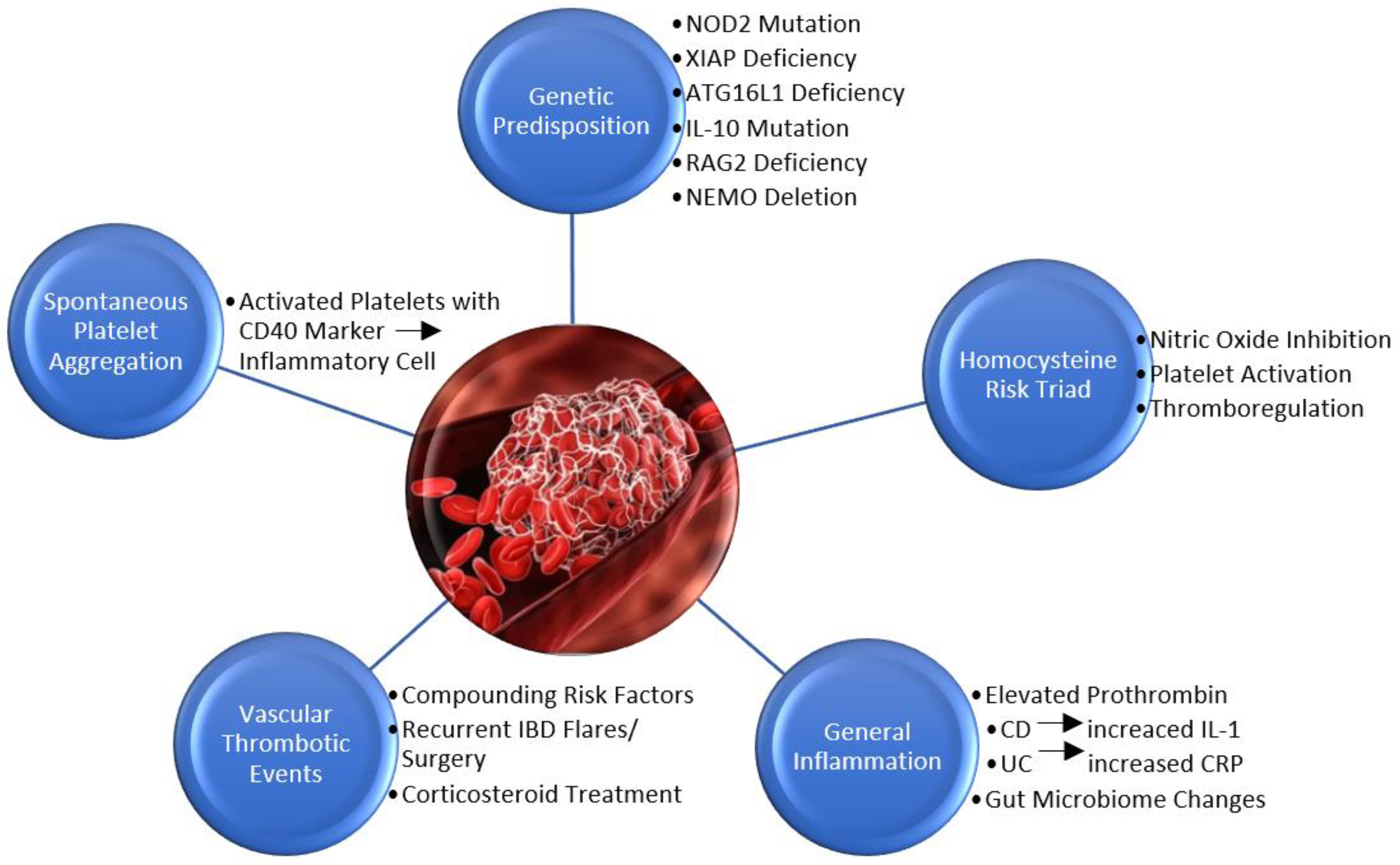 Diseases 10 00073 g001