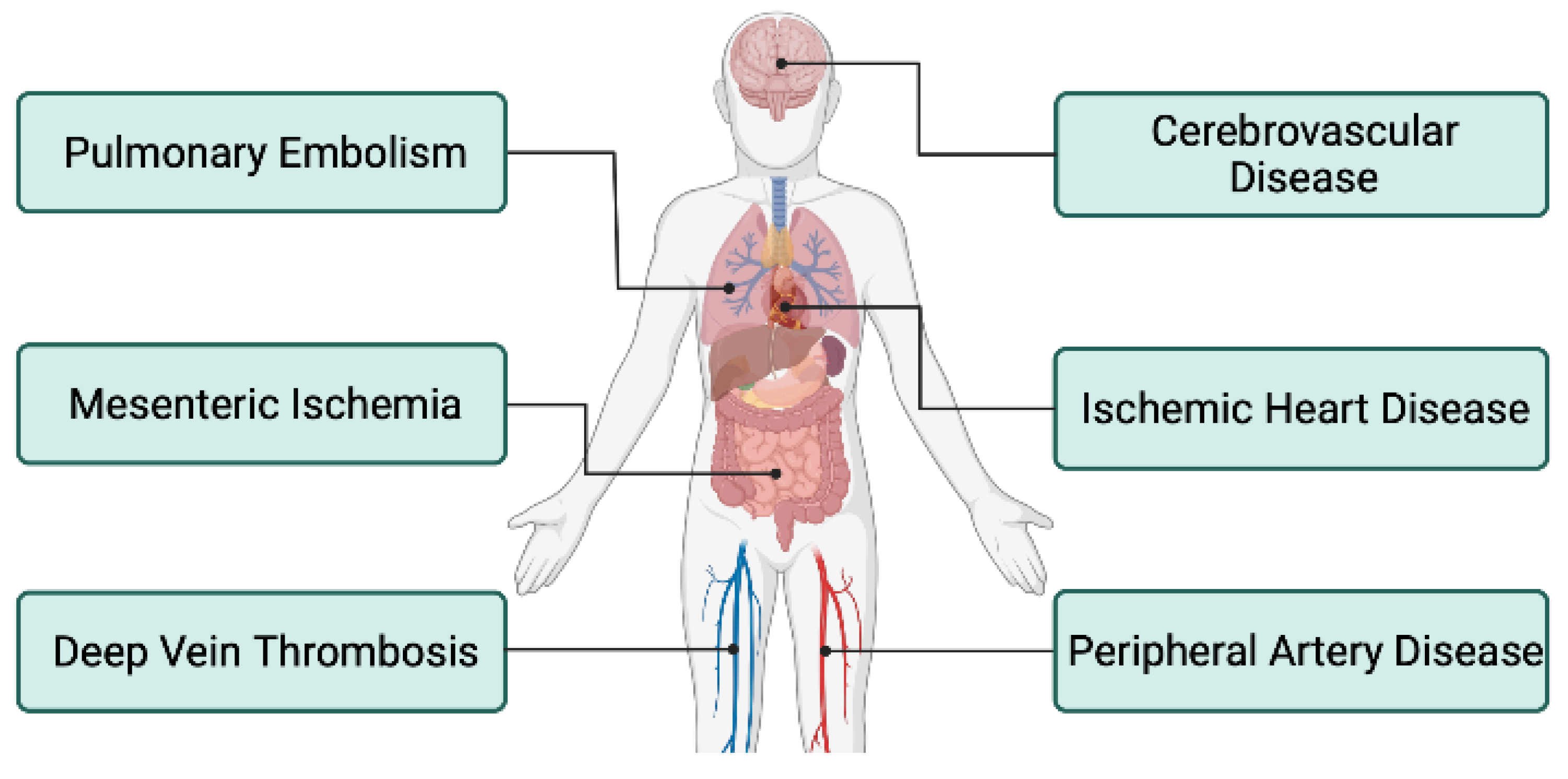 Diseases 10 00073 g002