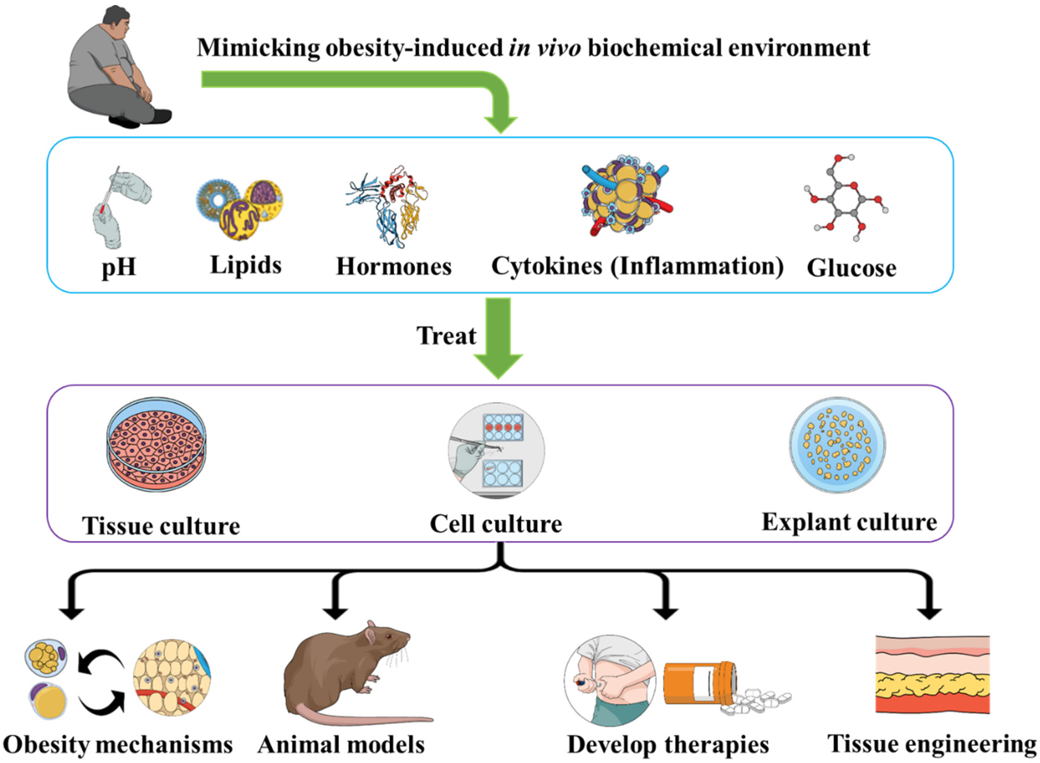 Diseases 10 00076 g001