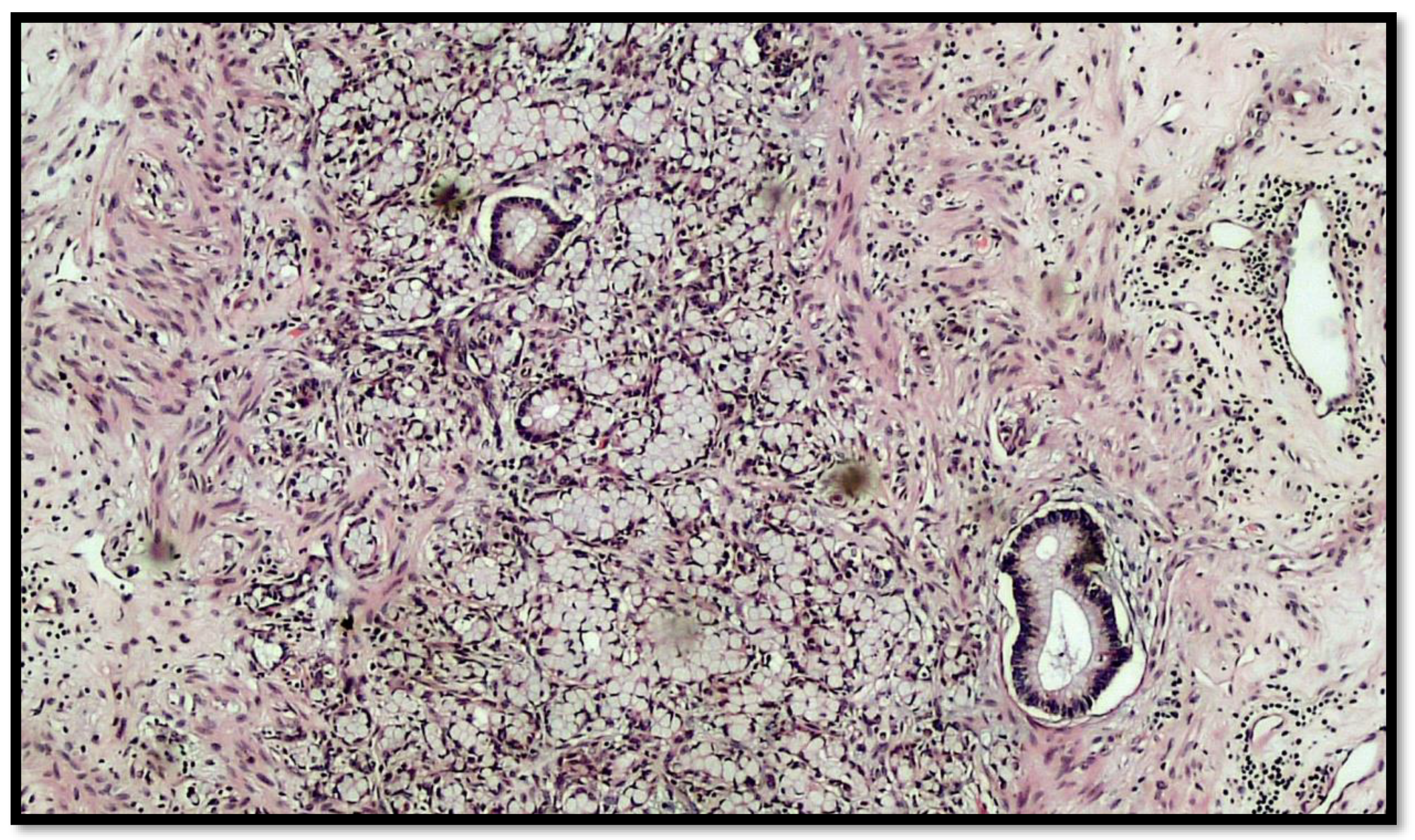 Diseases 10 00077 g003