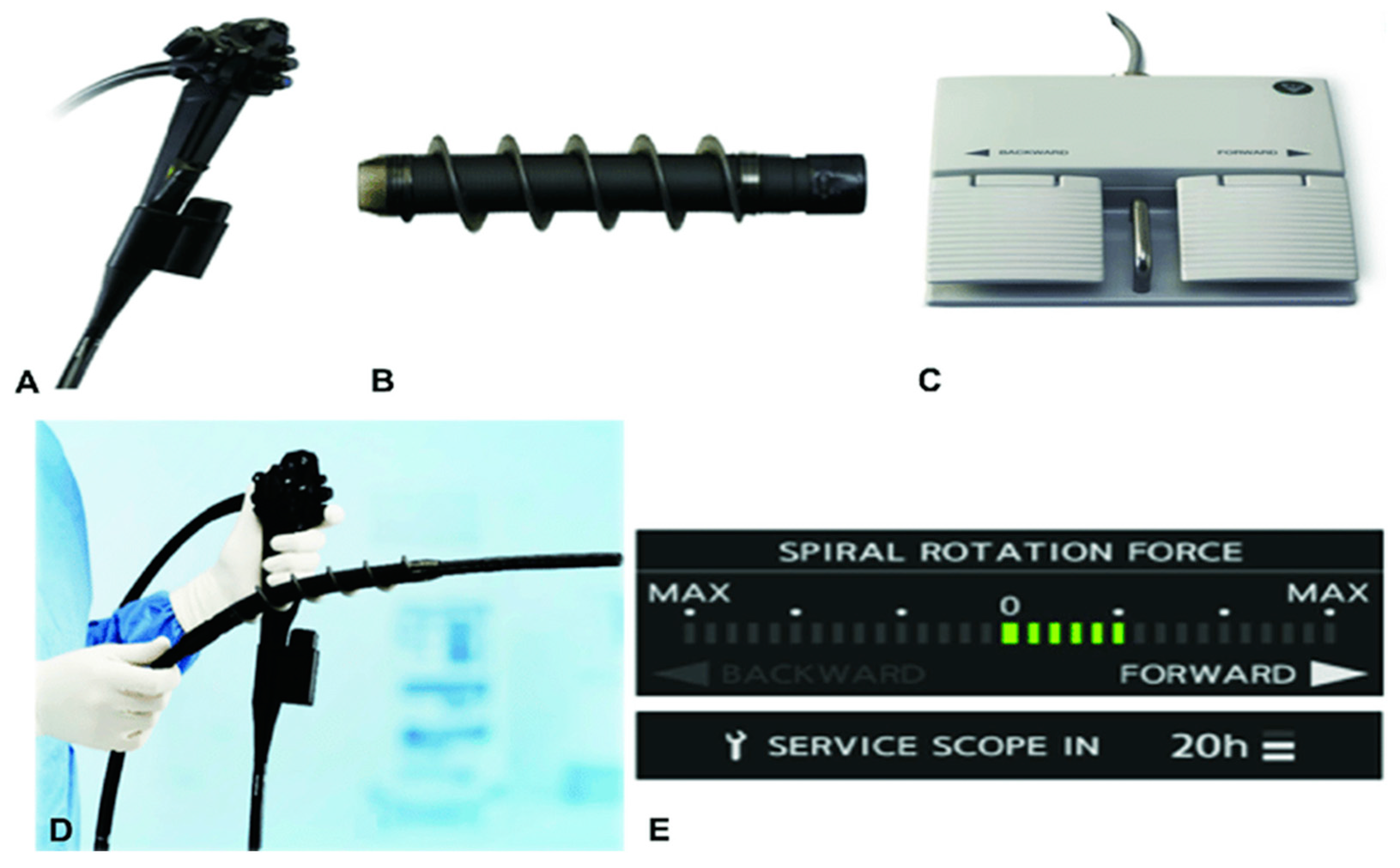 Diseases 10 00079 g001