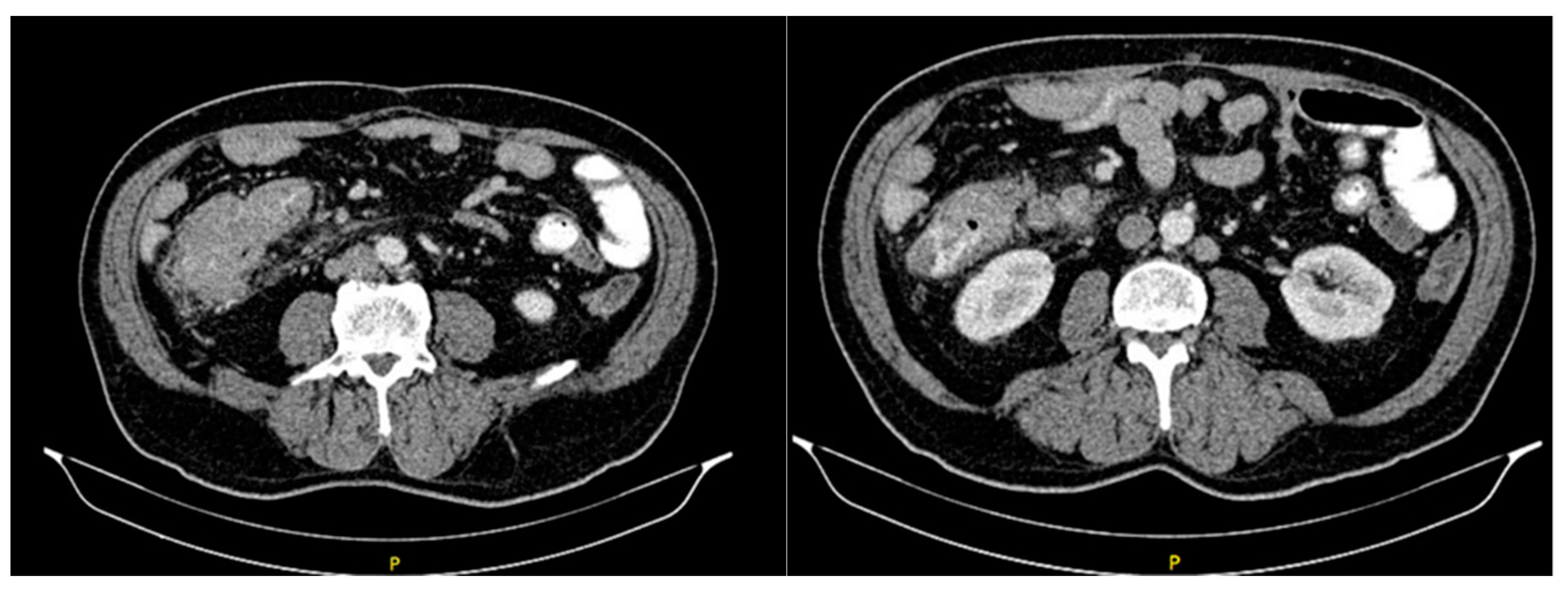 Diseases 10 00079 g002
