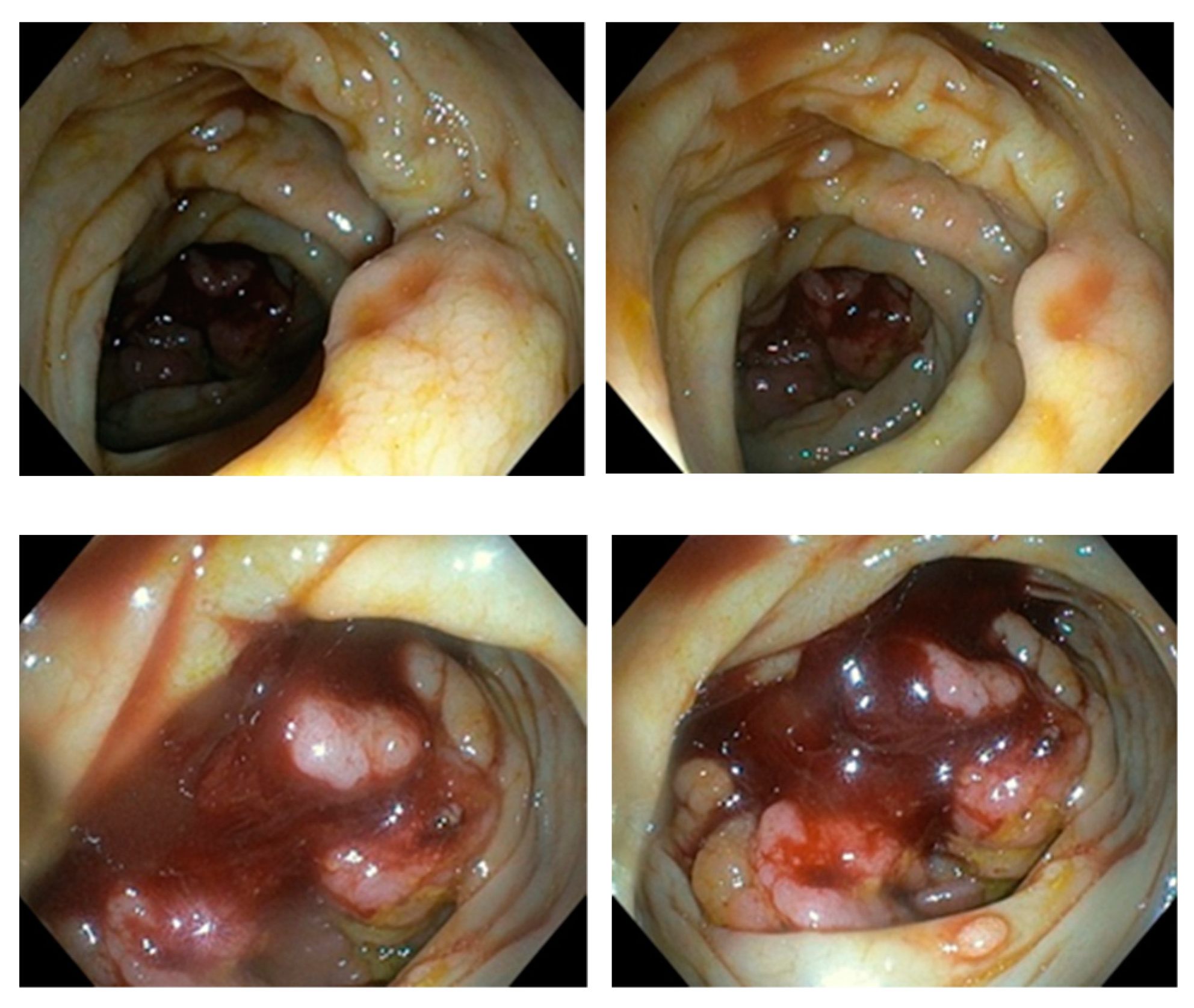 Diseases 10 00079 g003