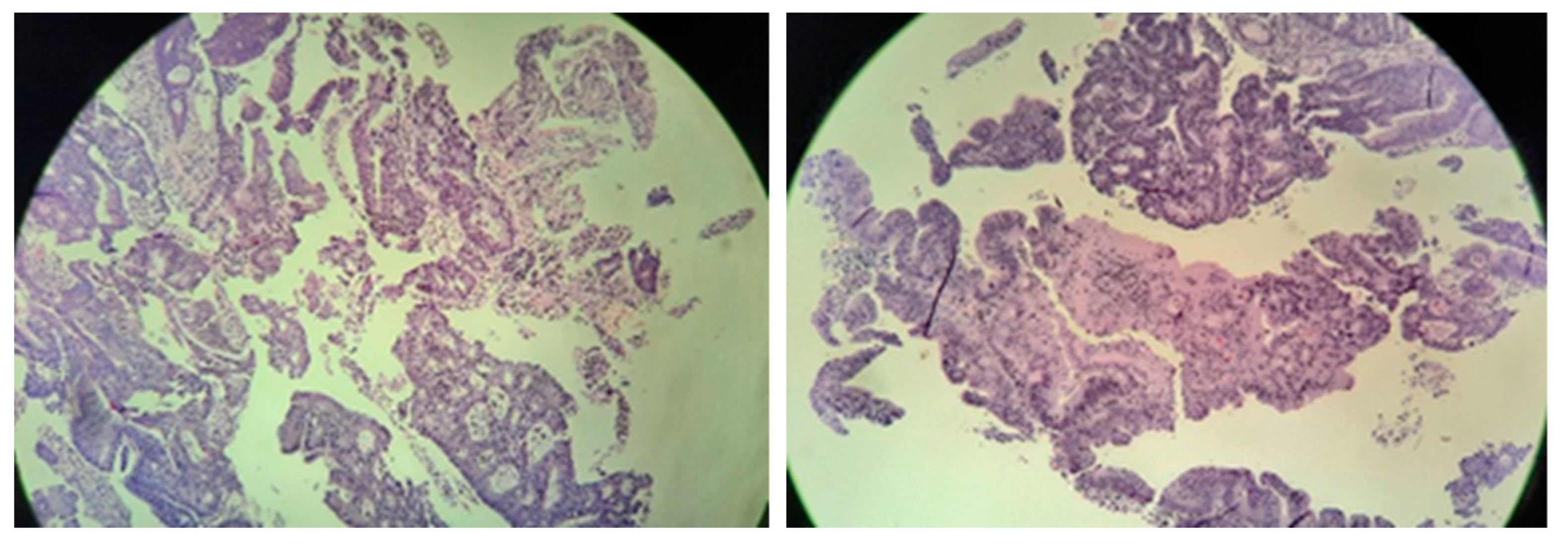 Diseases 10 00079 g004