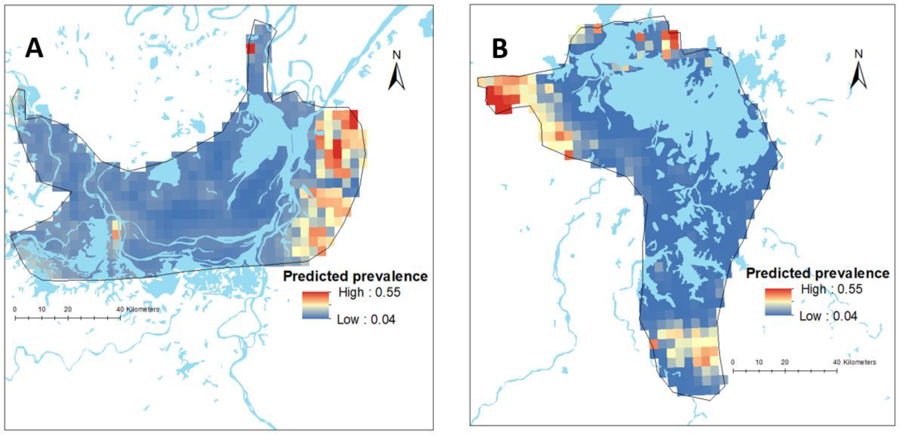 Diseases 10 00093 g002