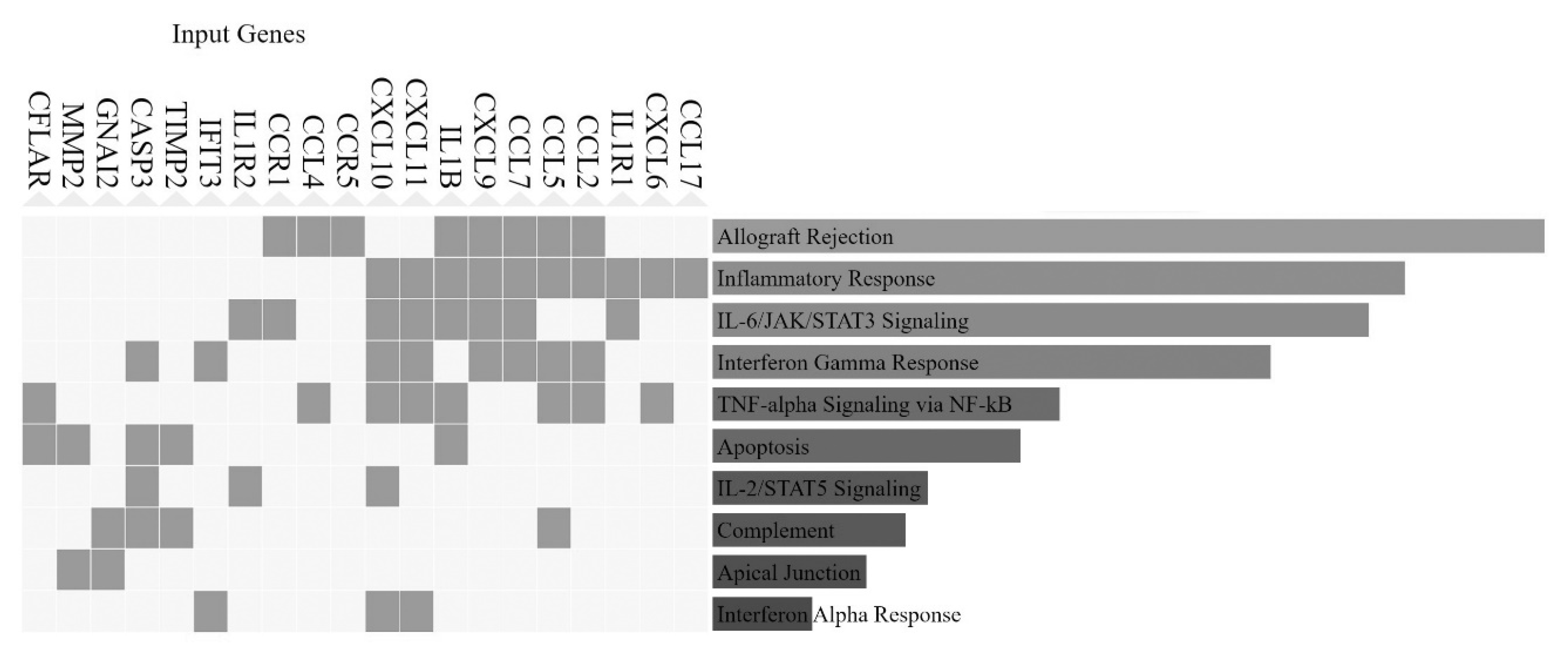 Diseases 10 00098 g006 Diseases 10 00098 g006