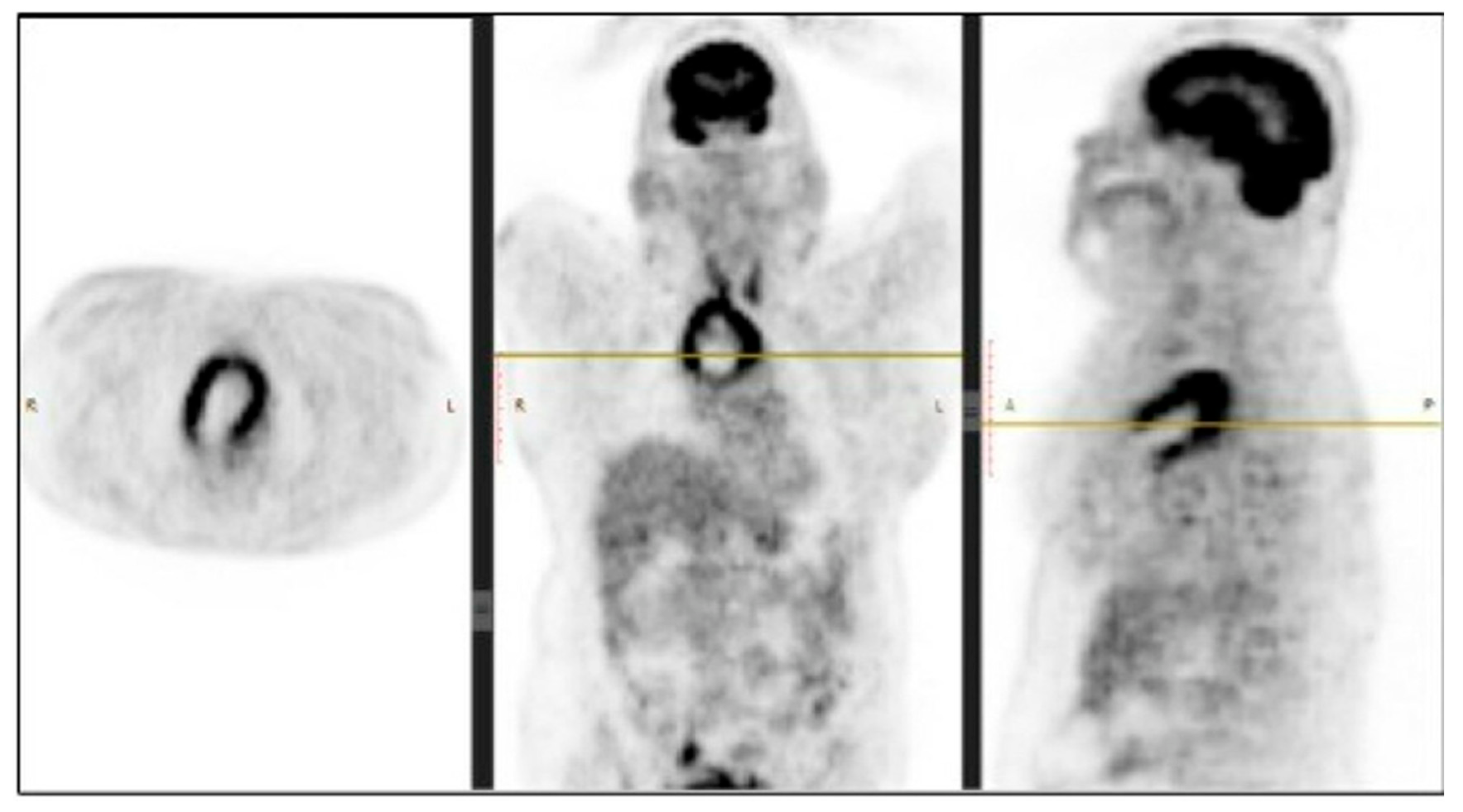 Diseases 10 00105 g003