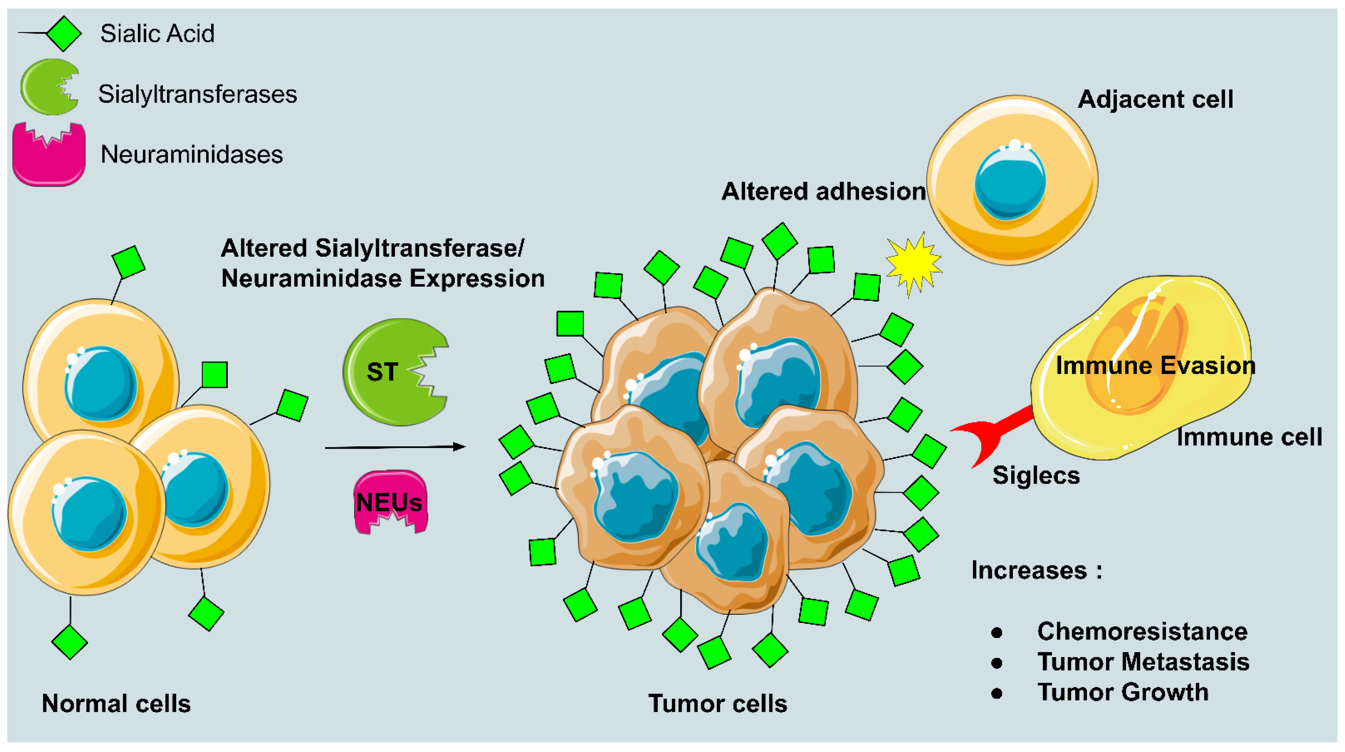 Diseases 10 00114 g002