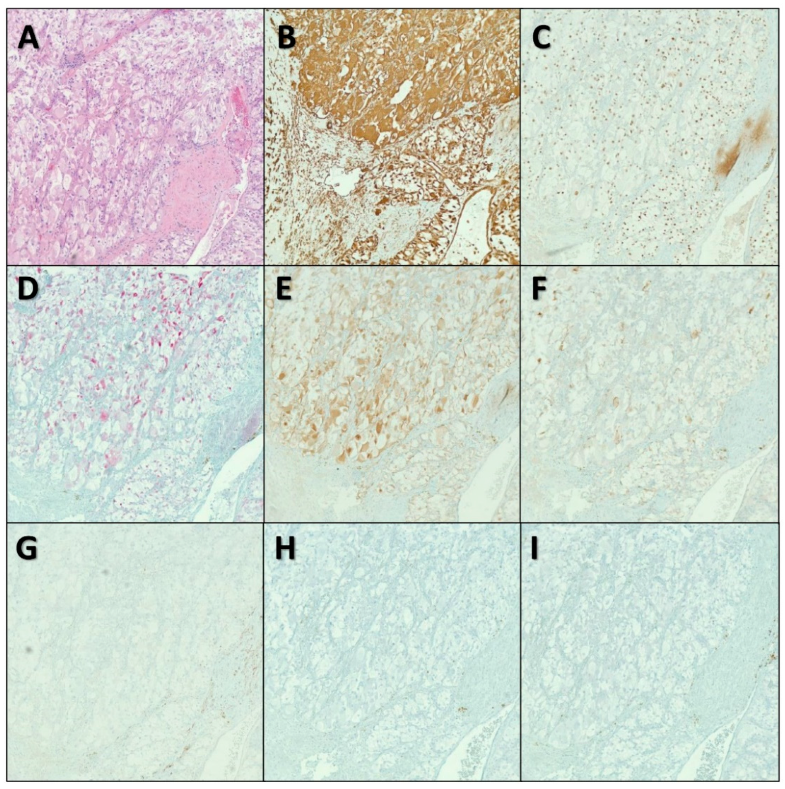 Diseases 10 00119 g003
