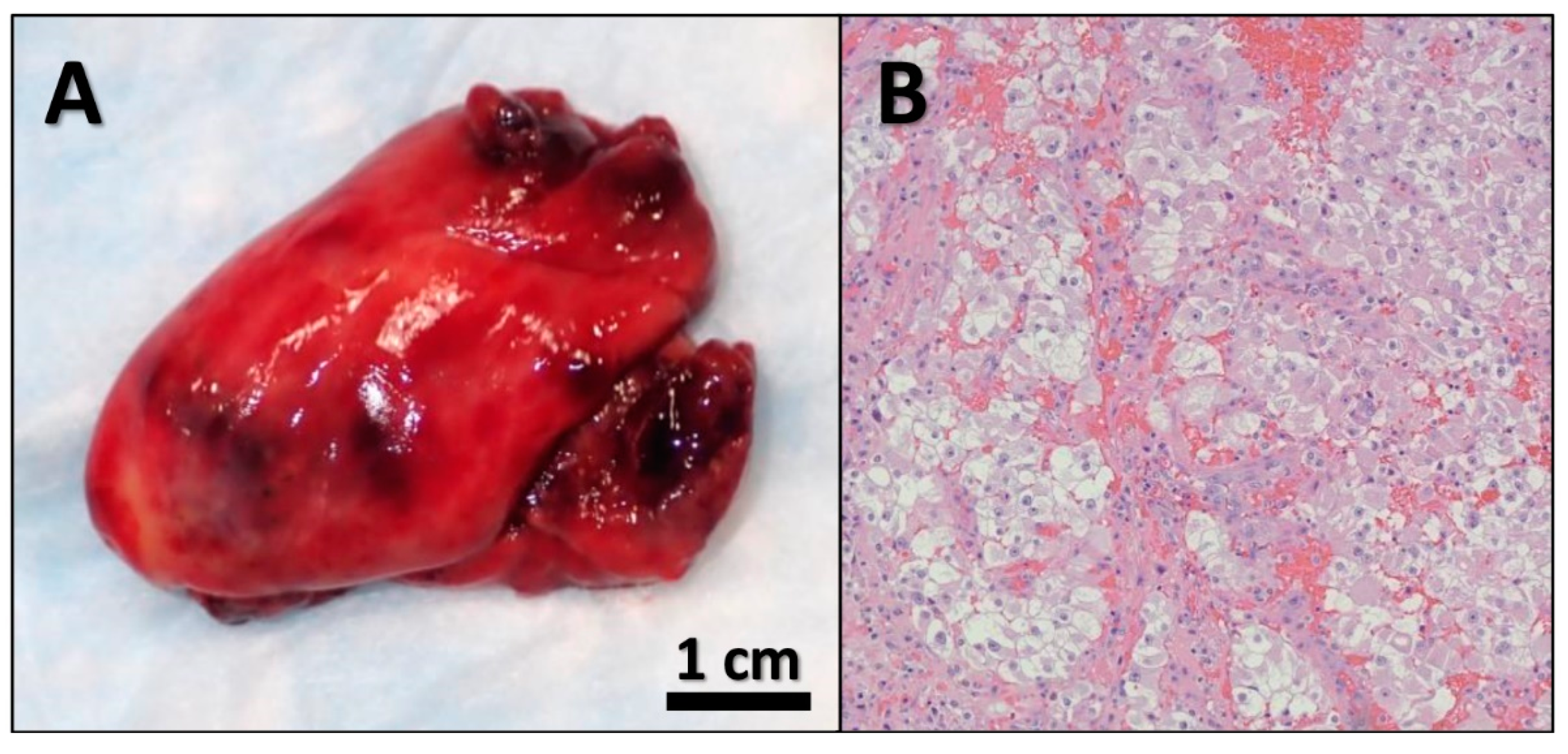 Diseases 10 00119 g004