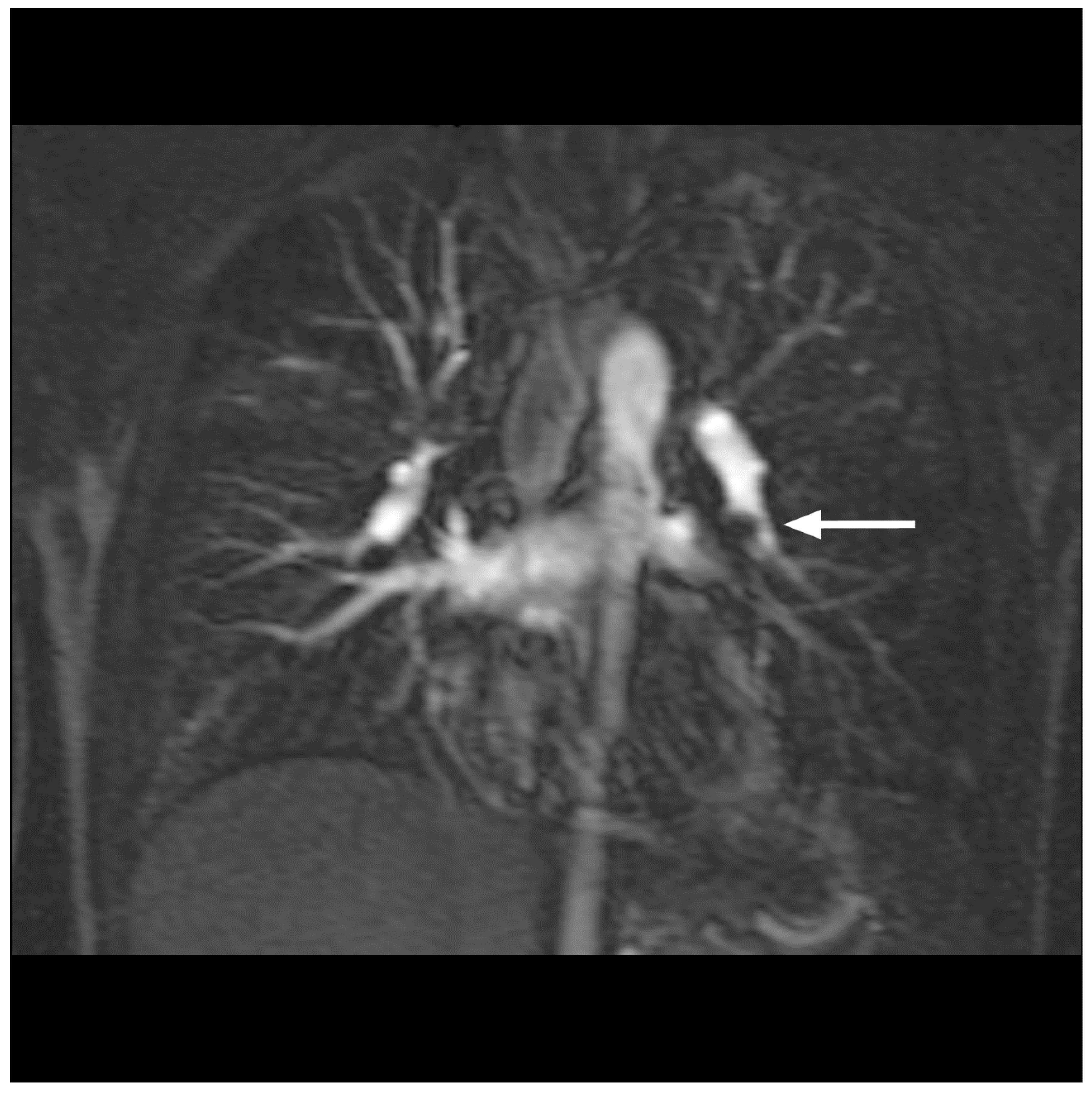 Diseases 10 00122 g002