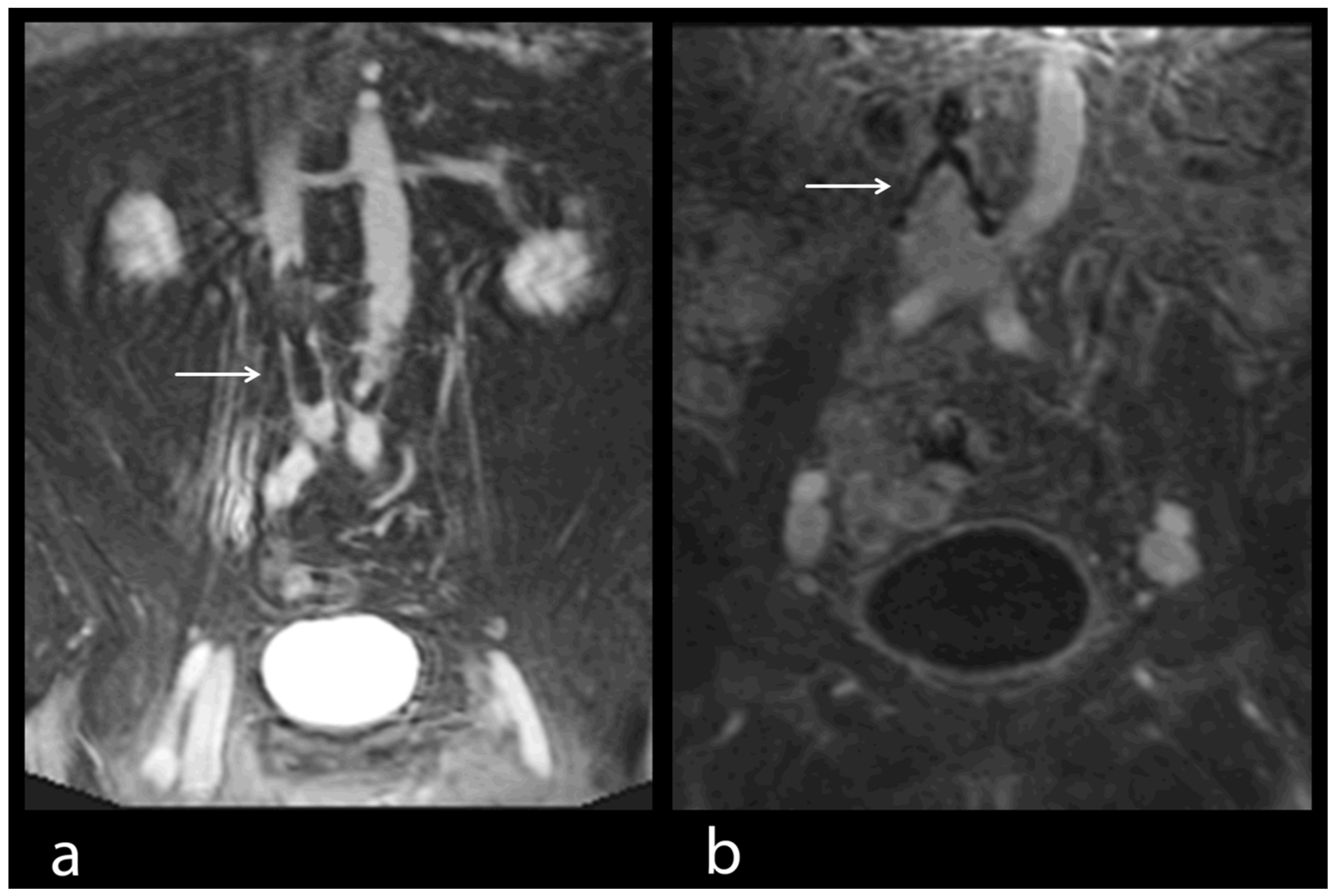 Diseases 10 00122 g006
