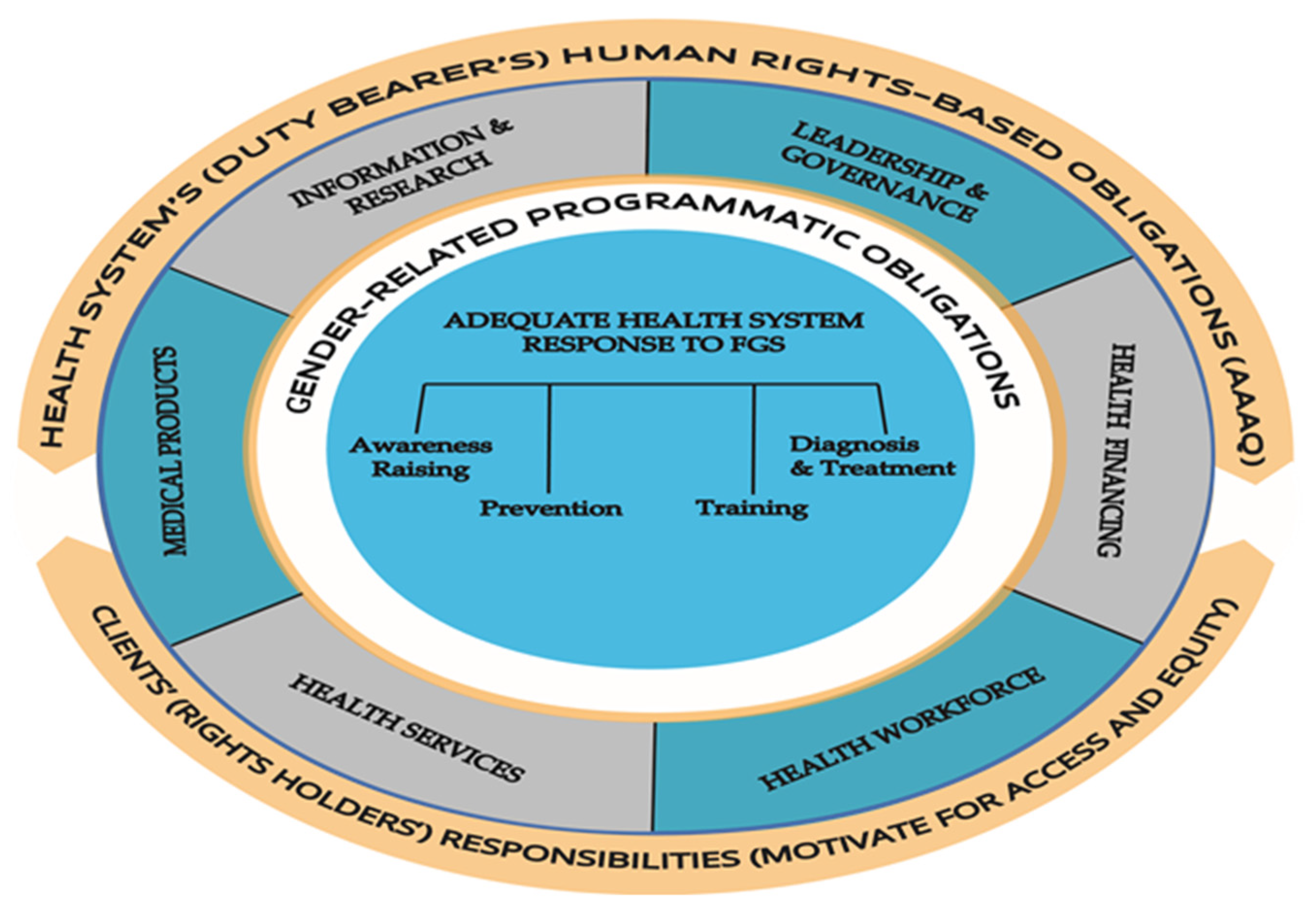 Diseases 10 00125 g001