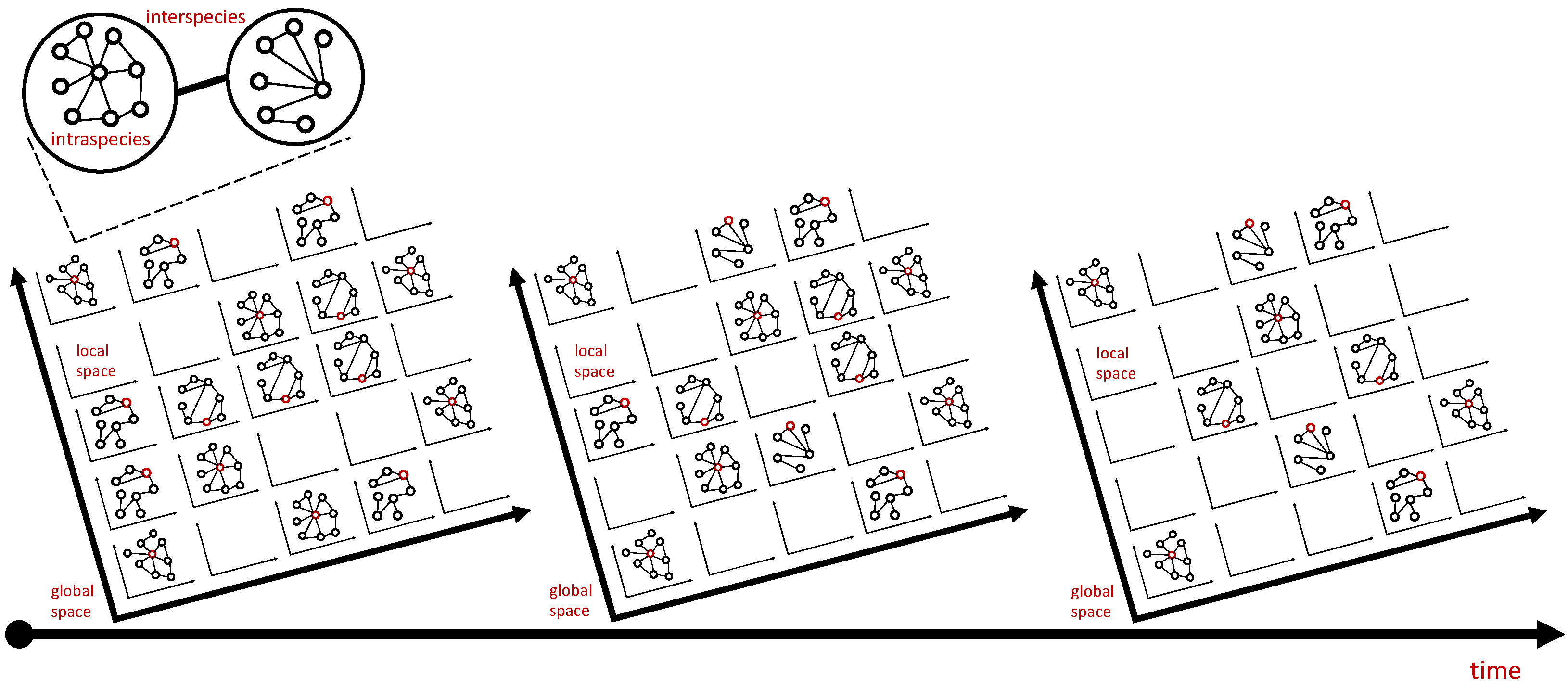 Diseases 11 00004 g003