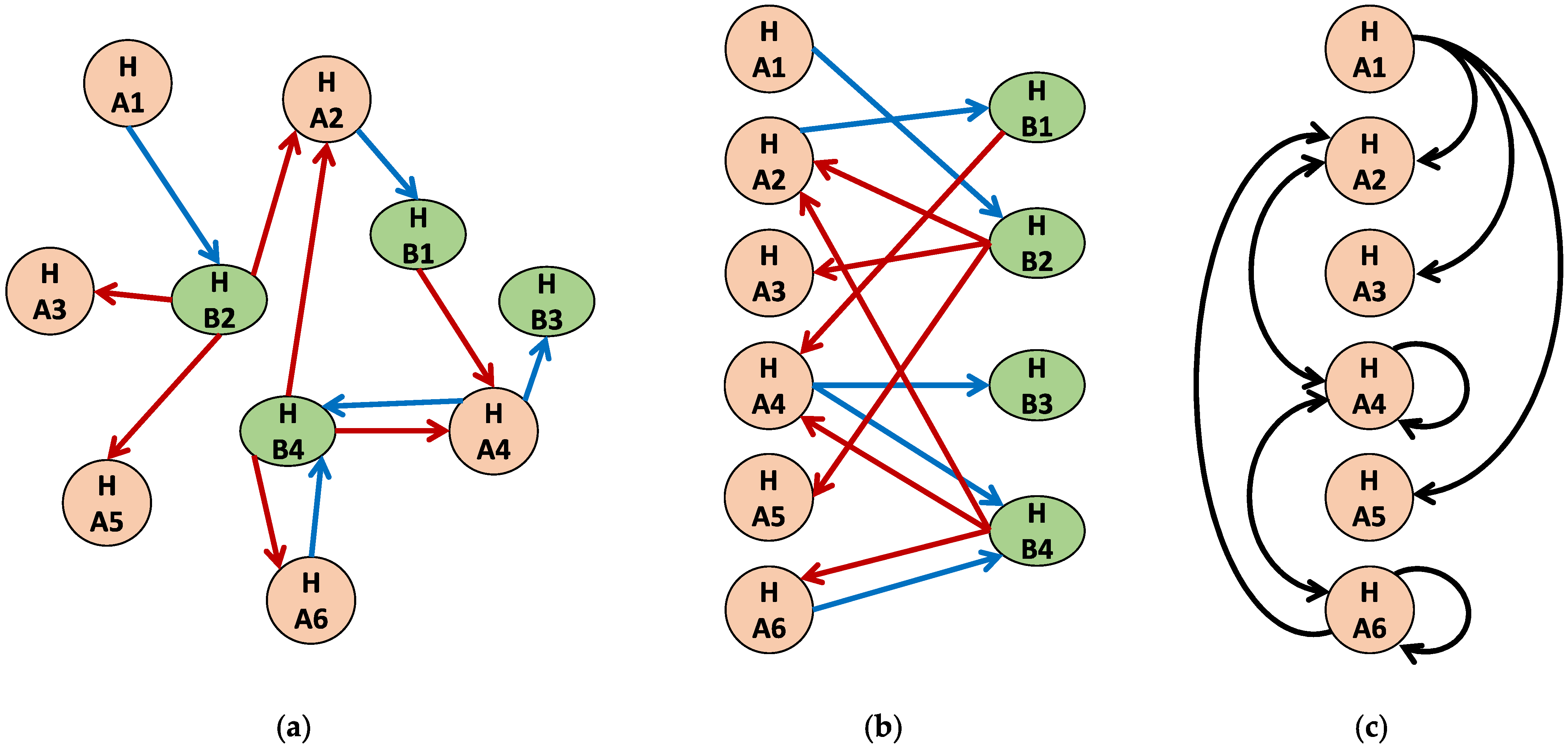 Diseases 11 00004 g005