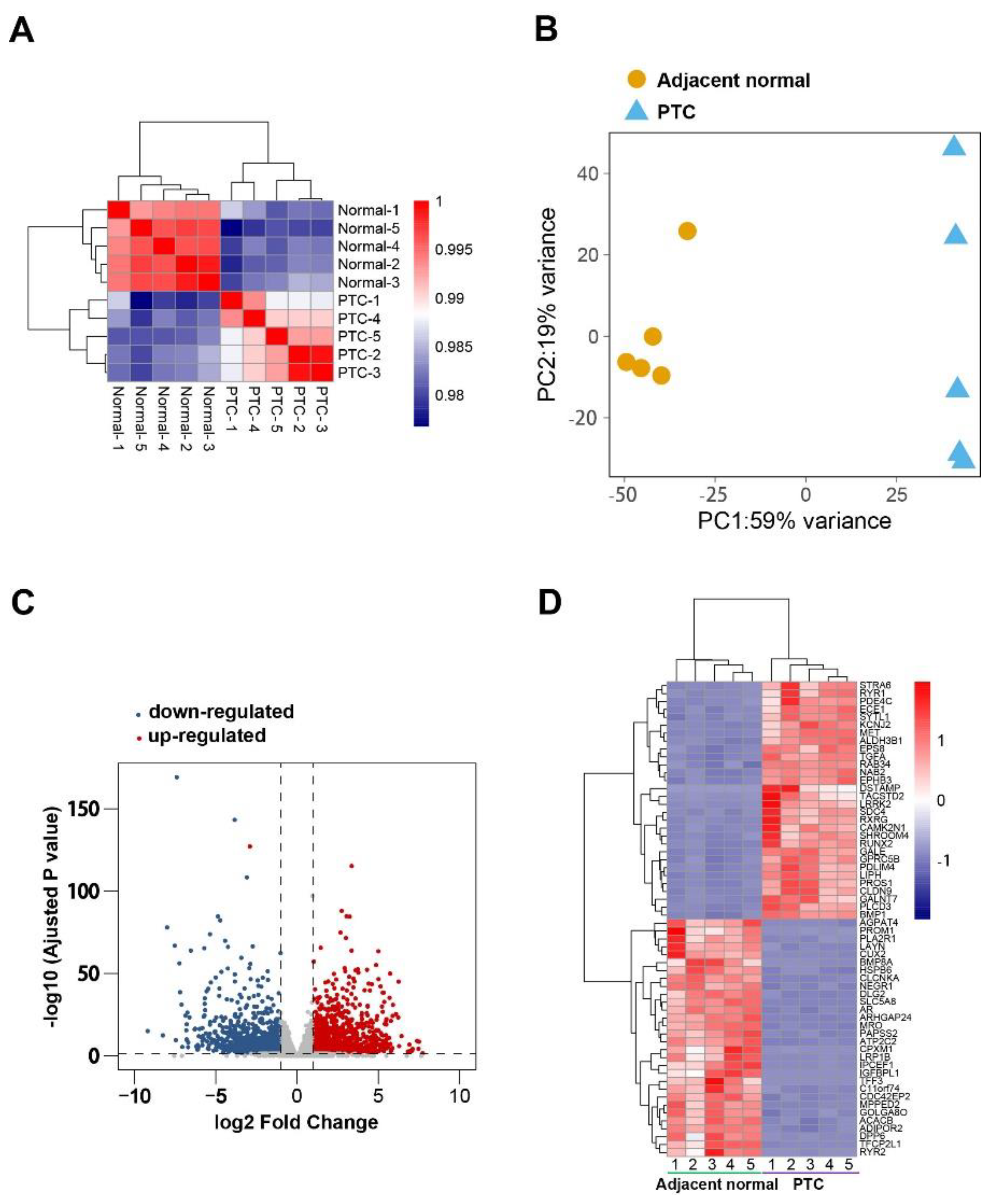 Diseases 11 00009 g001