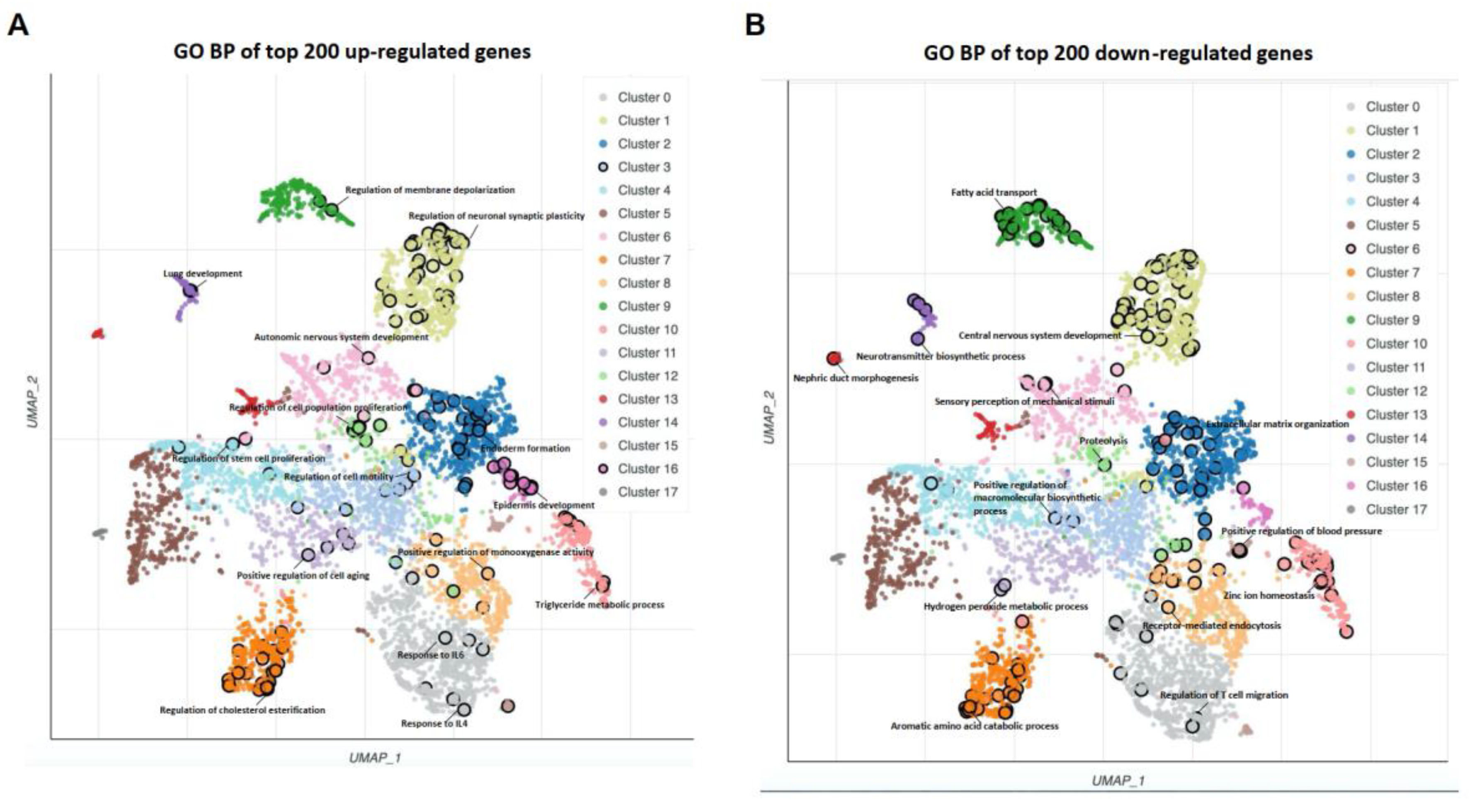 Diseases 11 00009 g002