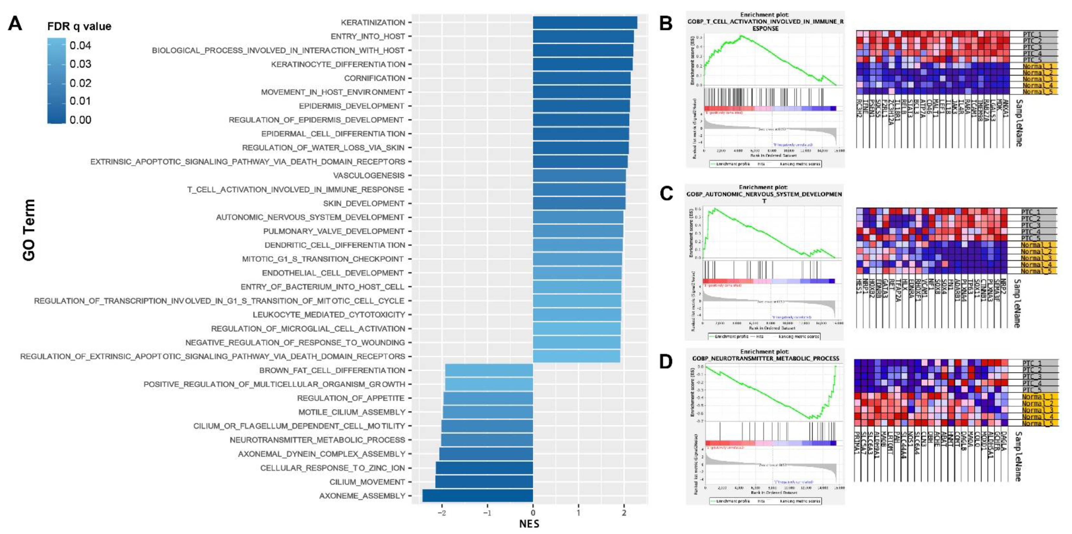 Diseases 11 00009 g003