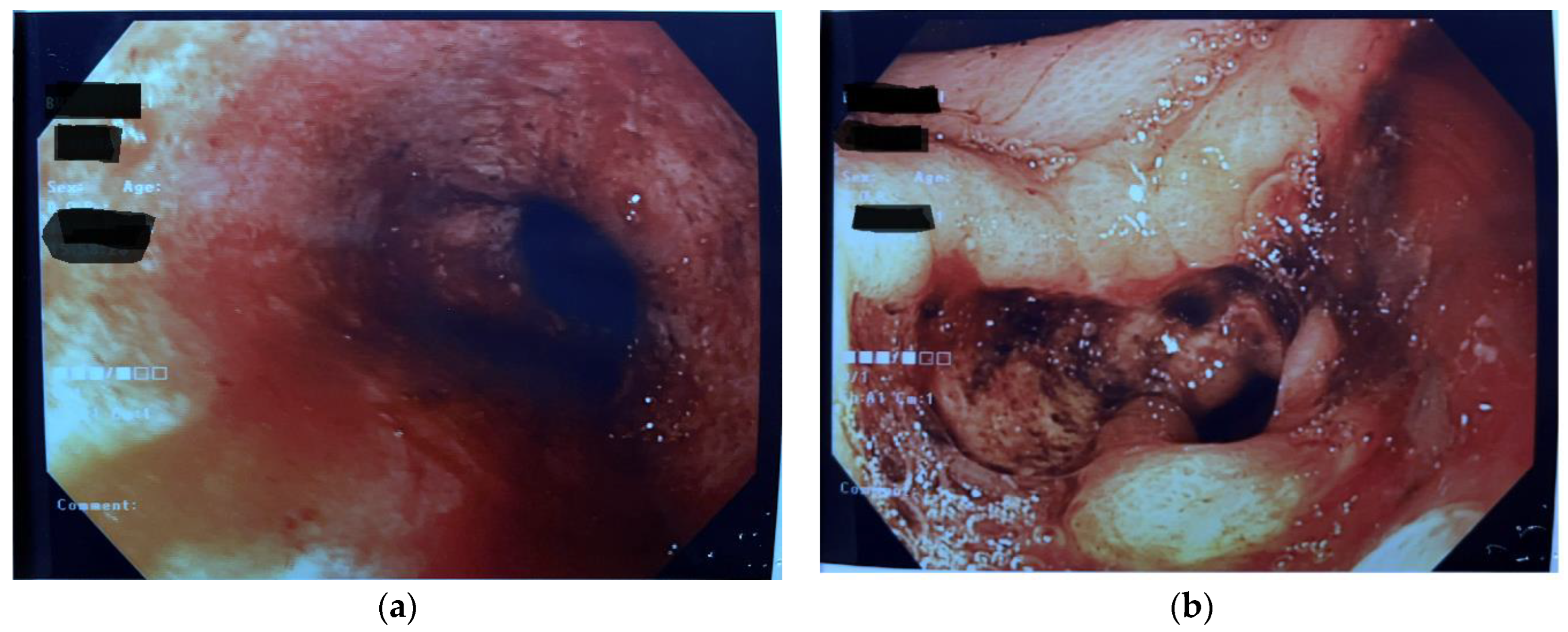 Diseases 11 00019 g002