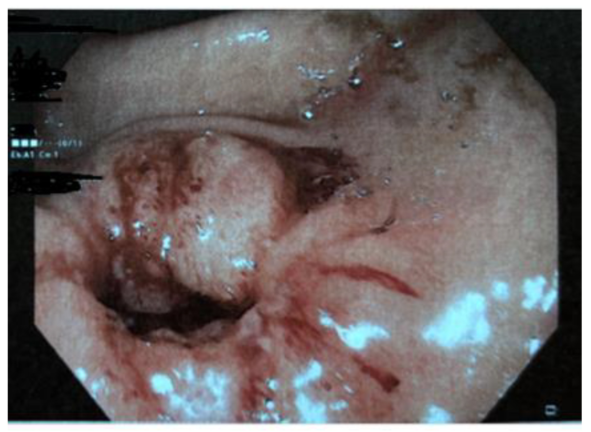 Diseases 11 00019 g003