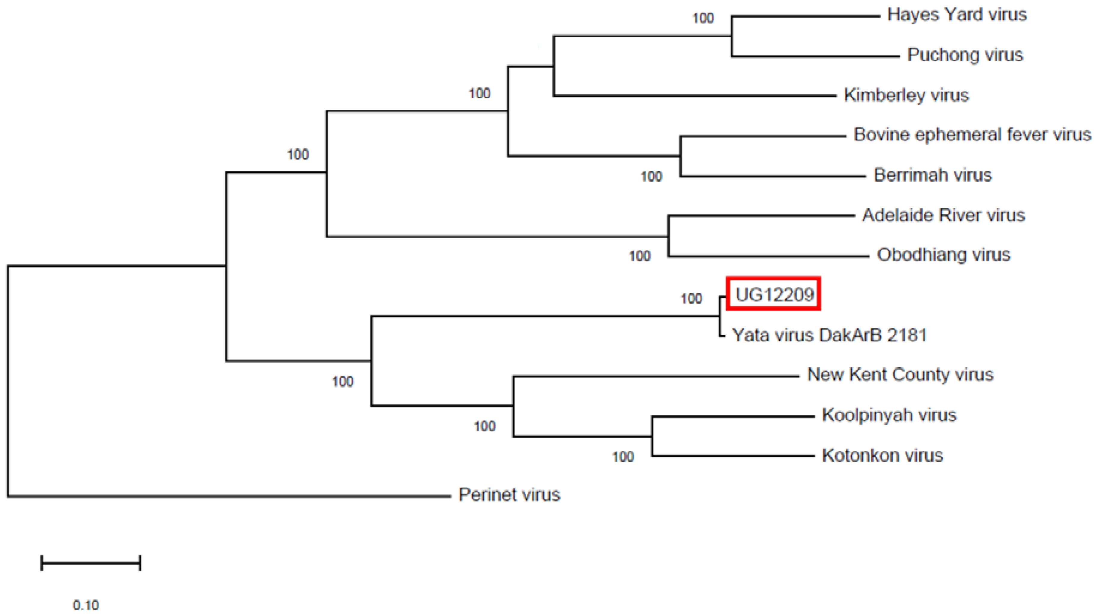 Diseases 11 00021 g003